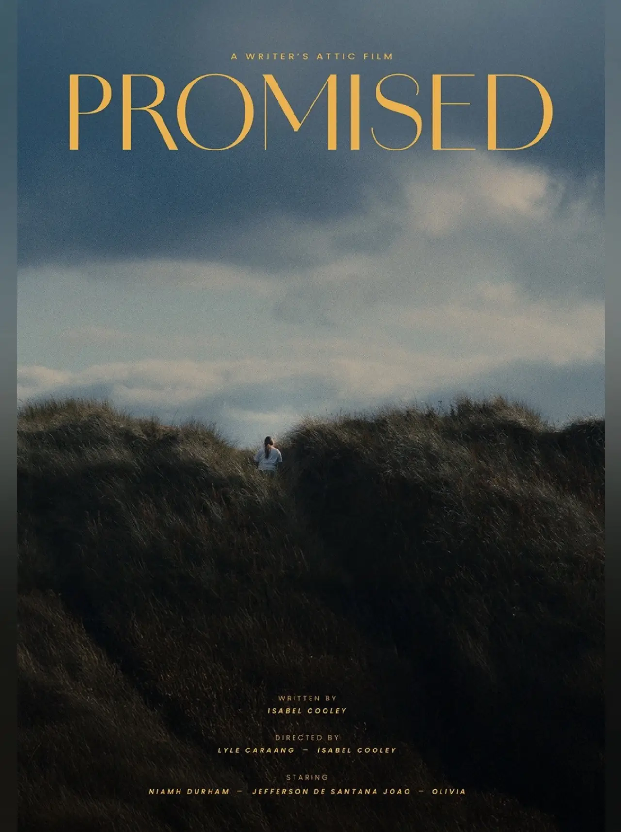 Постер к фильму "Promised"