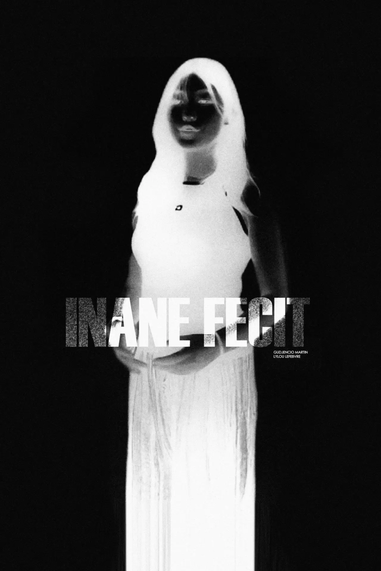 Постер к фильму "INANE FECIT"