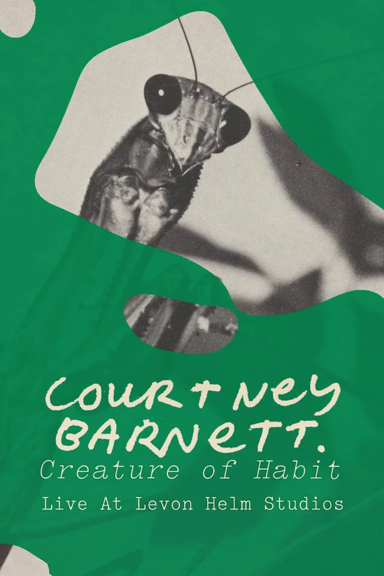 Постер к фильму "Courtney Barnett: Creature of Habit - Live At Levon Helm Studios"