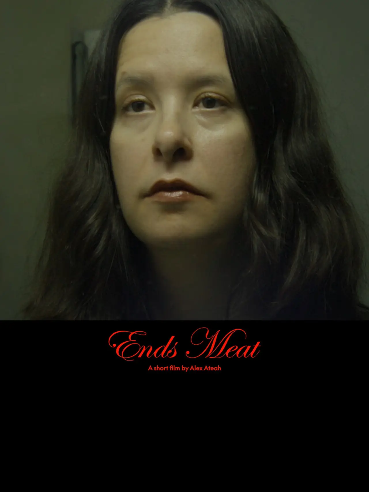 Постер к фильму "Ends Meat"