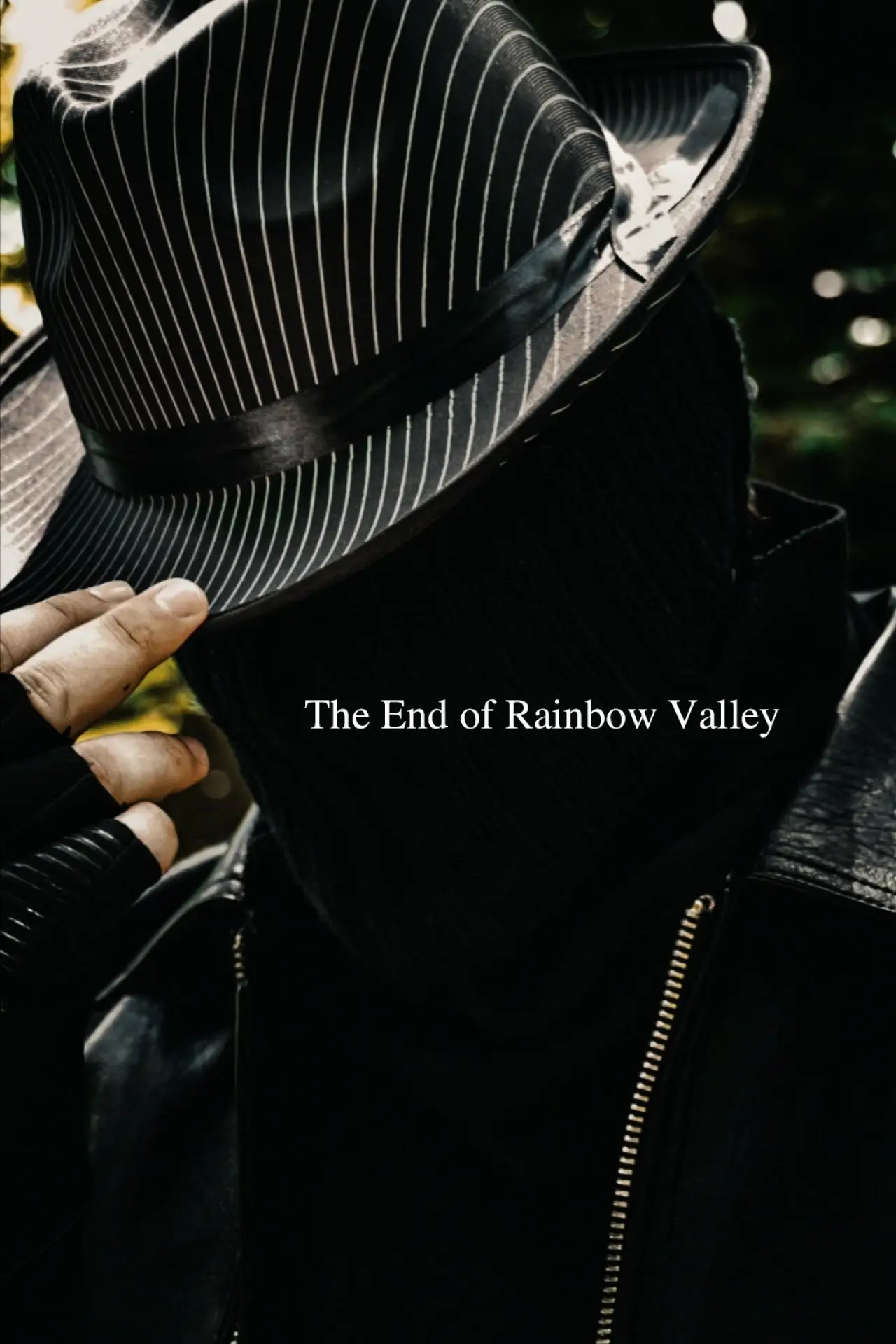 Постер к фильму "The End of Rainbow Valley"