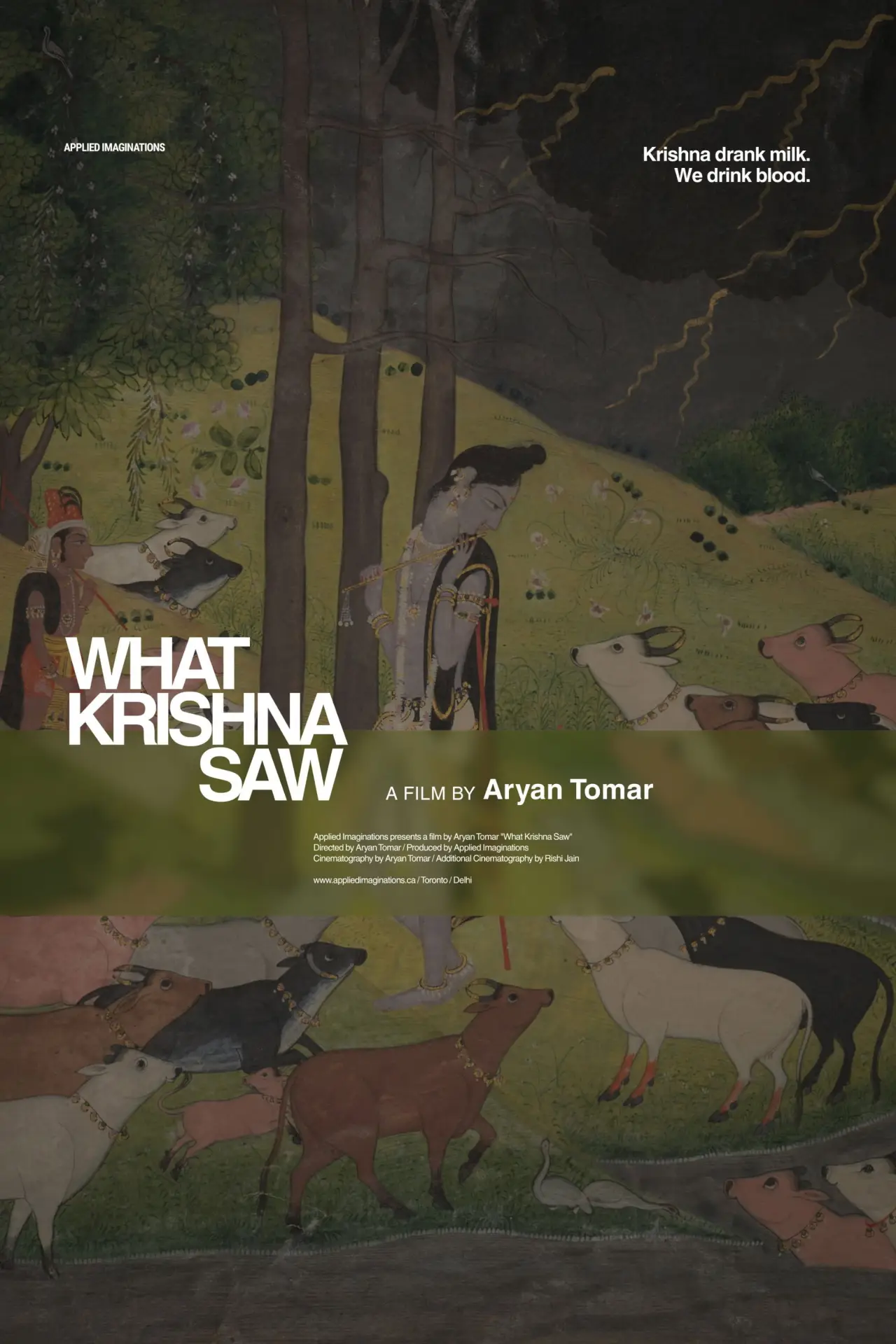 Постер к фильму "What Krishna Saw"