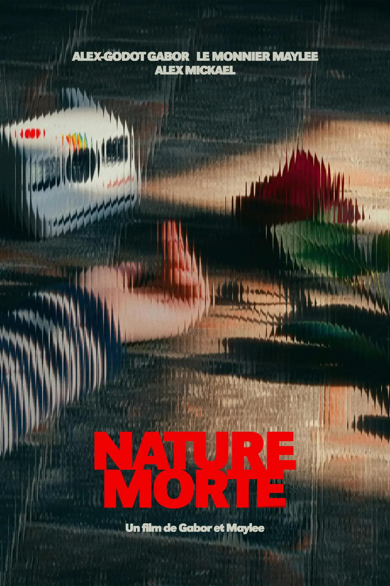 Постер к фильму "Nature Morte"