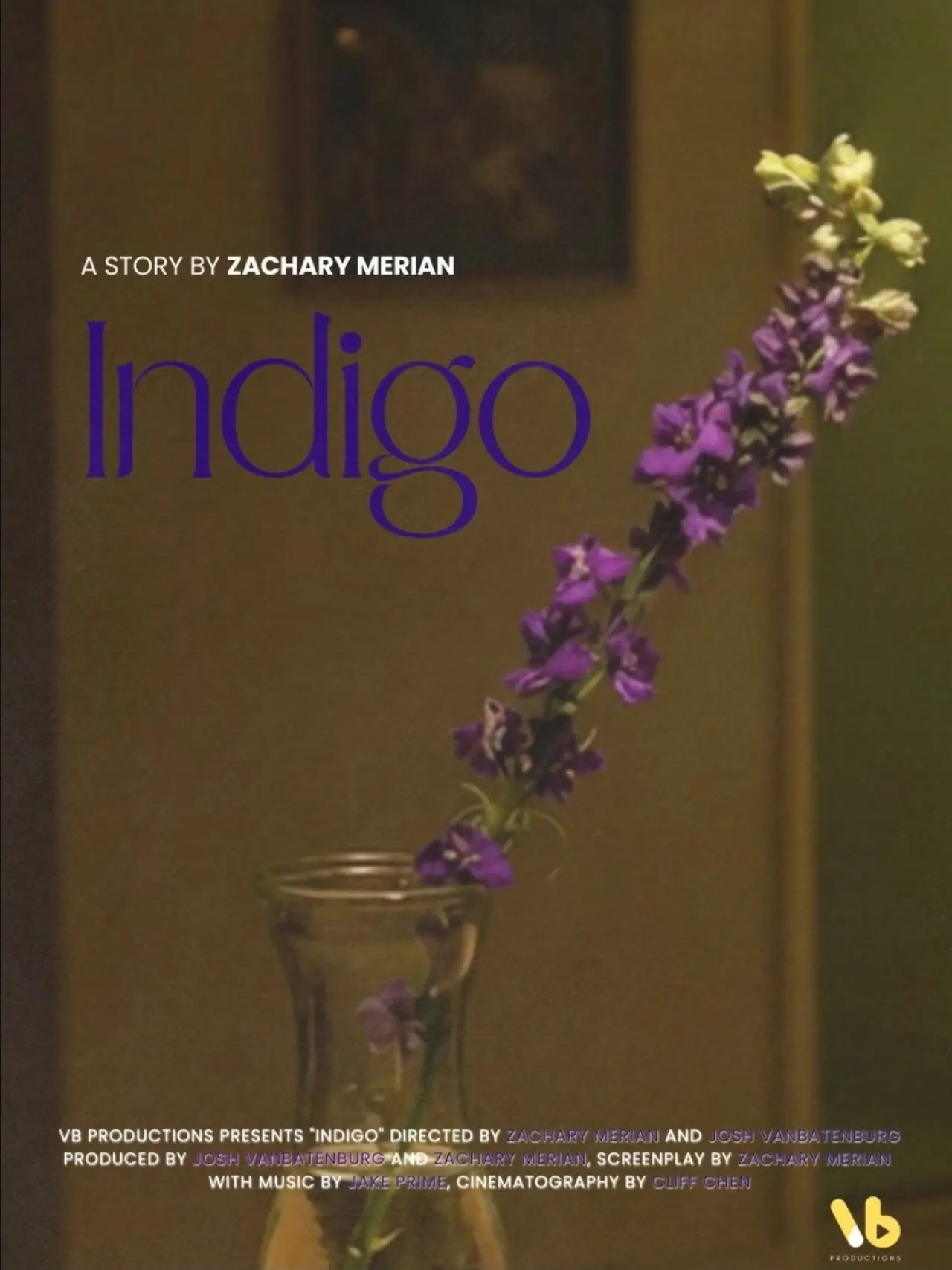 Постер к фильму "INDIGO"
