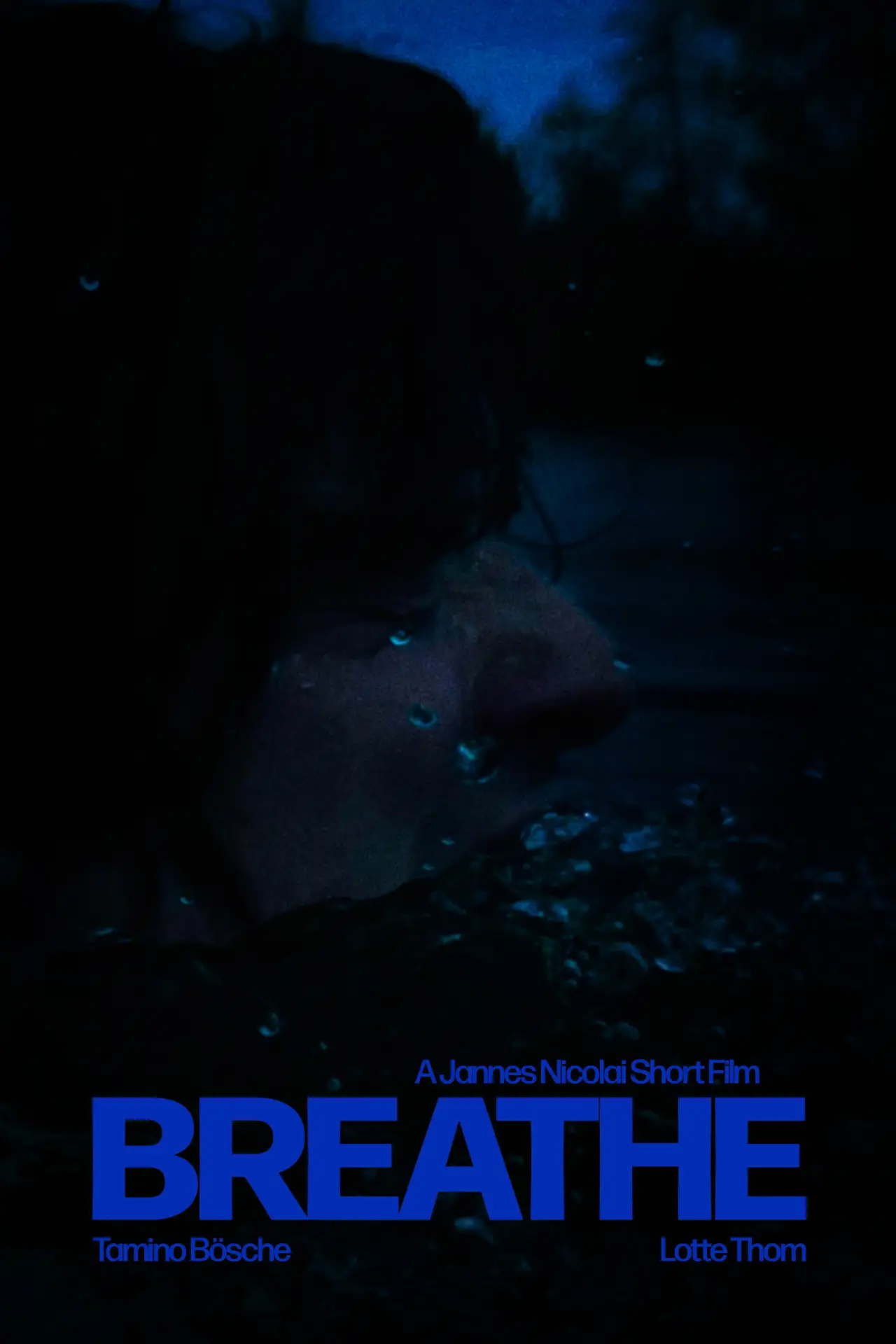 Постер к фильму "Breathe"