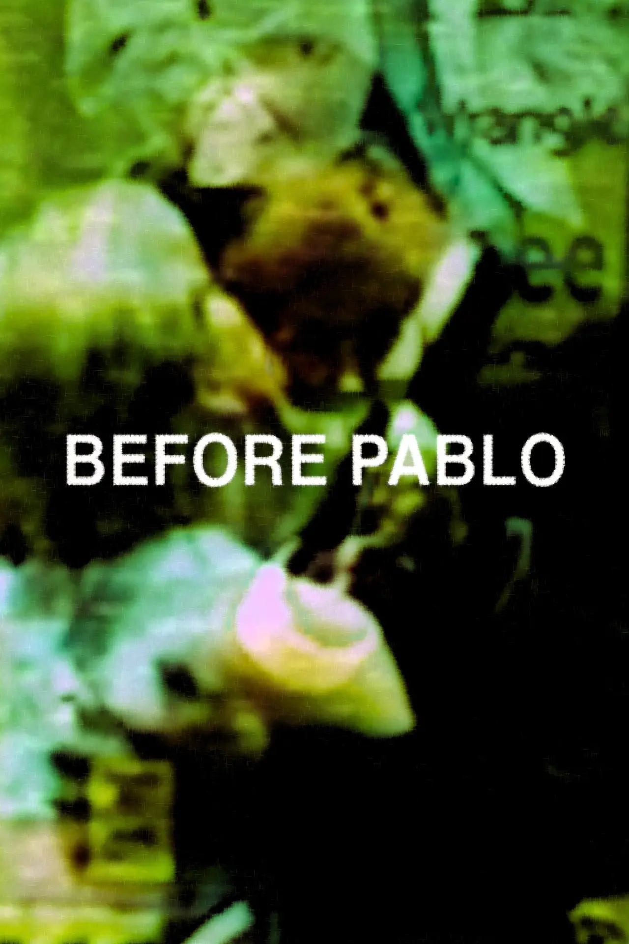 Постер к фильму "before Pablo"
