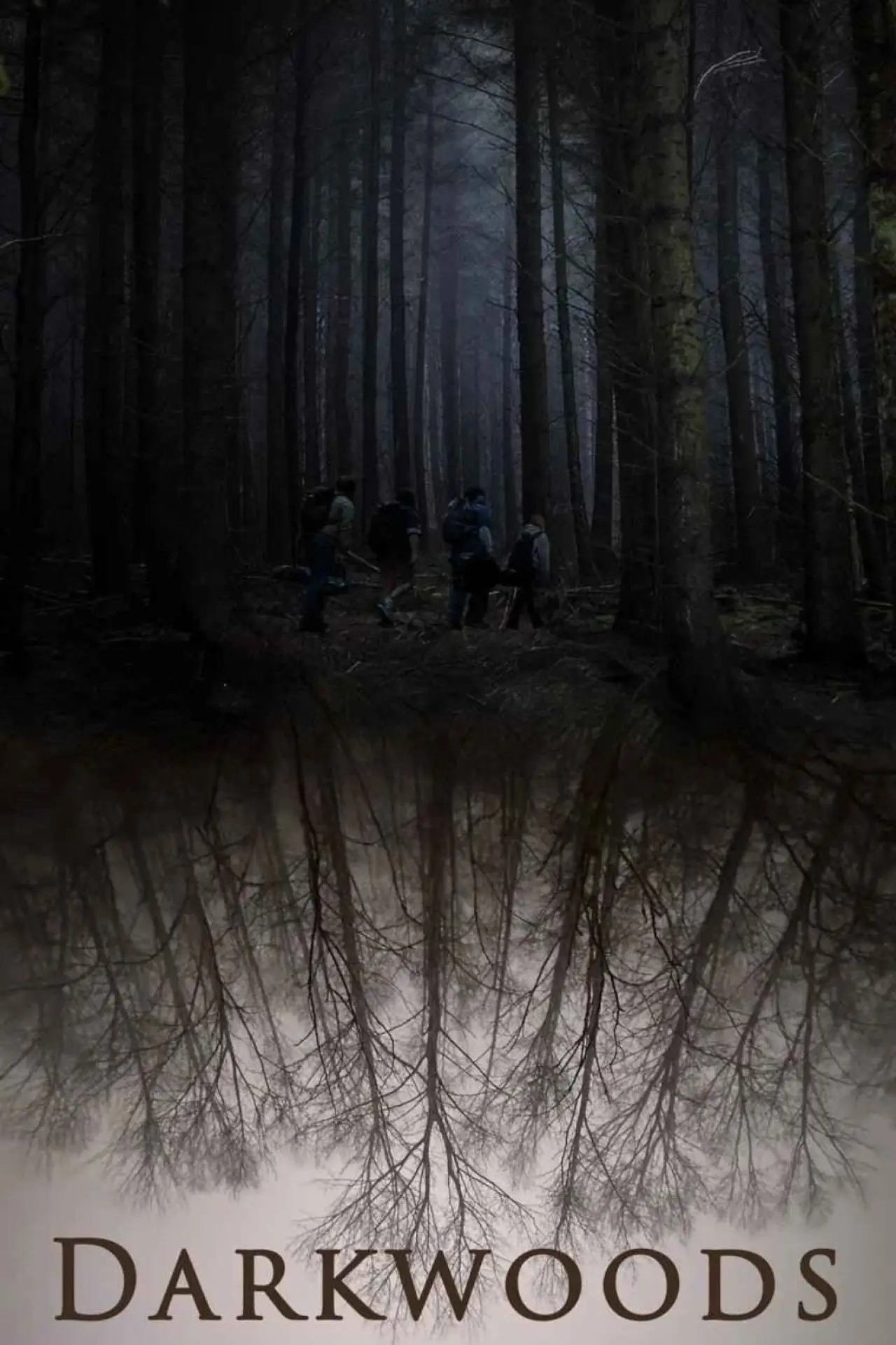 Постер к фильму "Darkwoods"