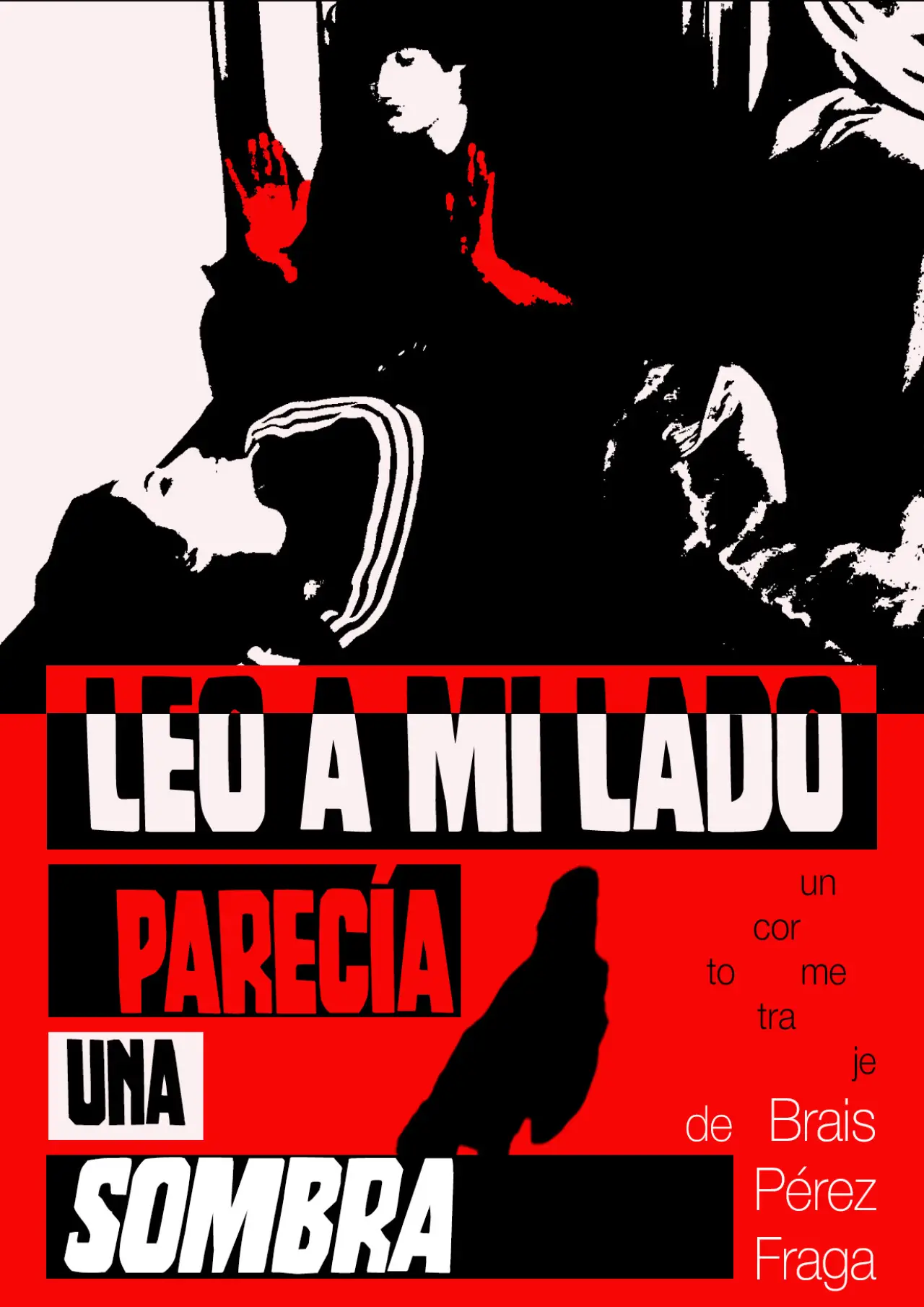 Постер к фильму "Leo a mi lado parecía una sombra"