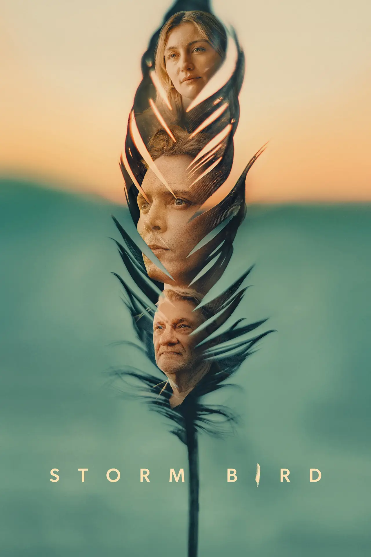 Постер к фильму "Storm Bird"