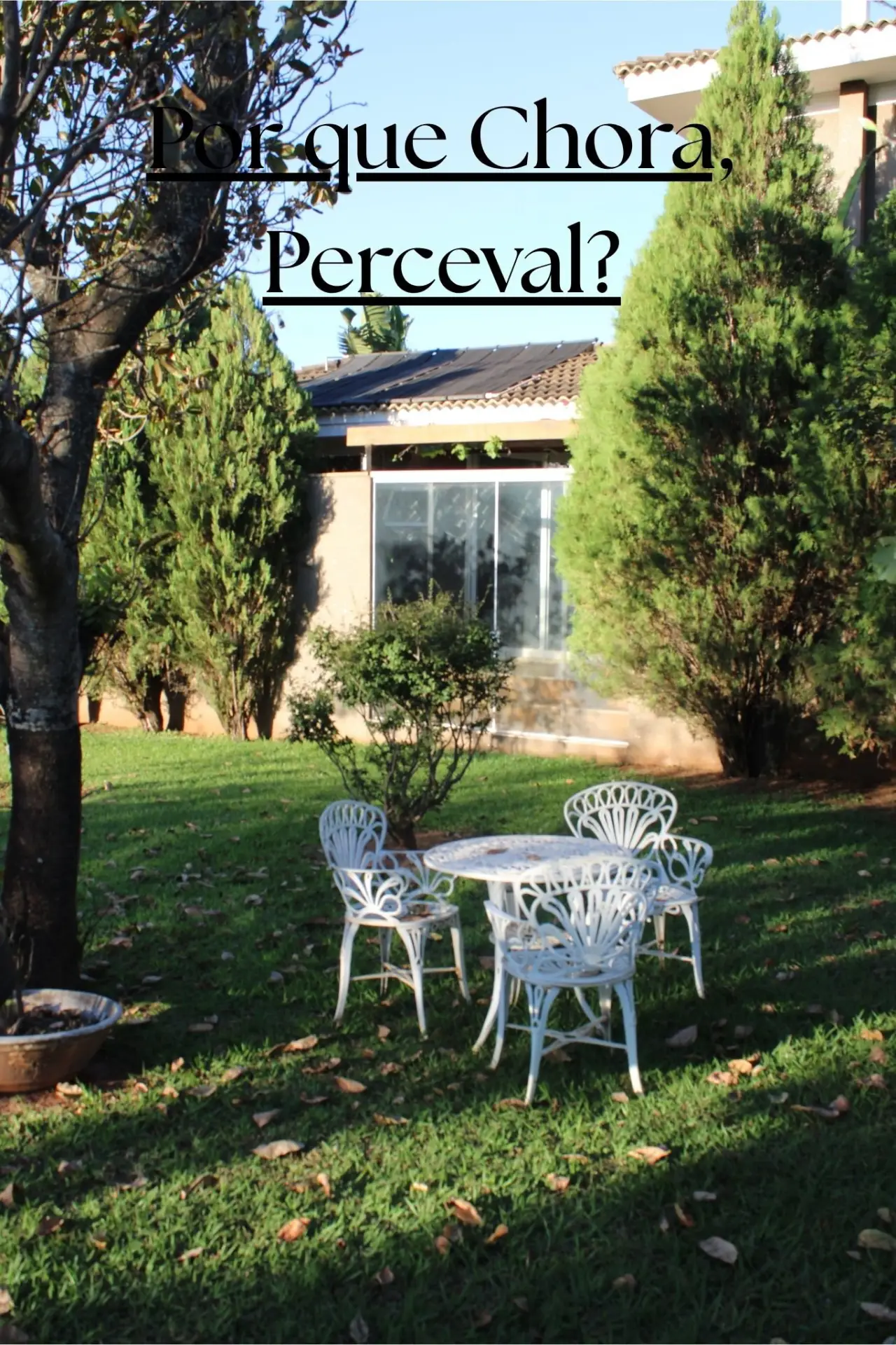 Постер к фильму "Por que Chora, Perceval?"