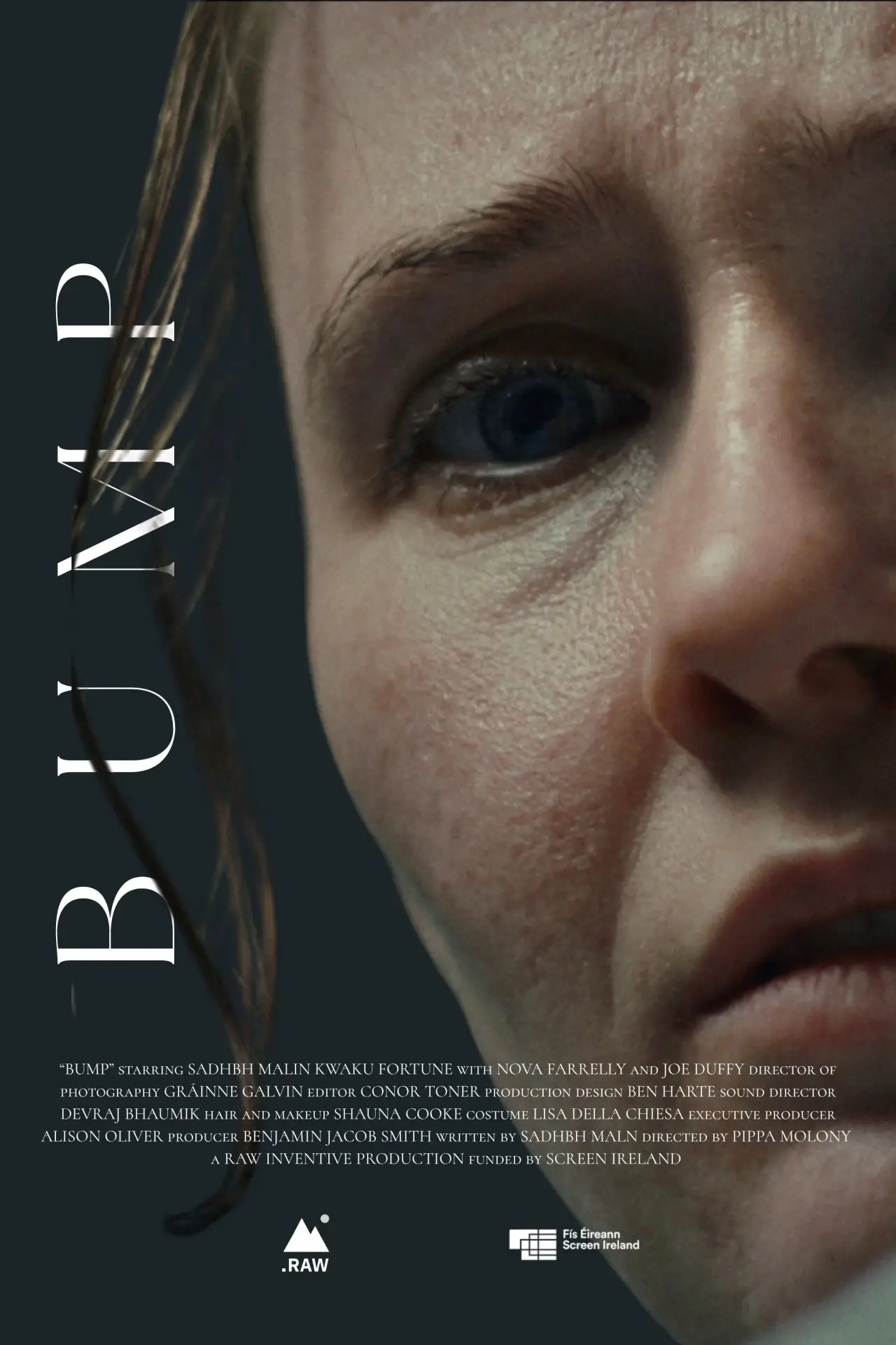 Постер к фильму "Bump"