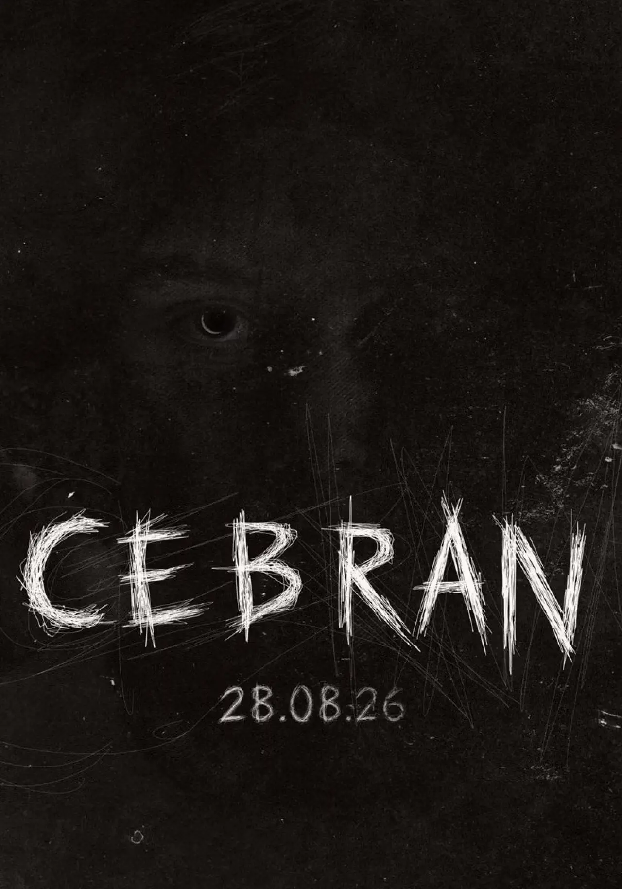 Постер к фильму "Cebran"