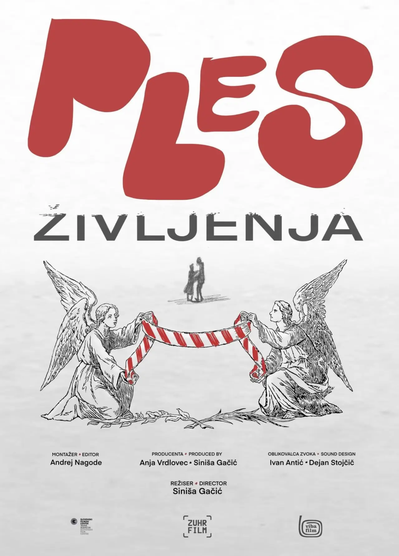 Постер к фильму "Ples življenja"