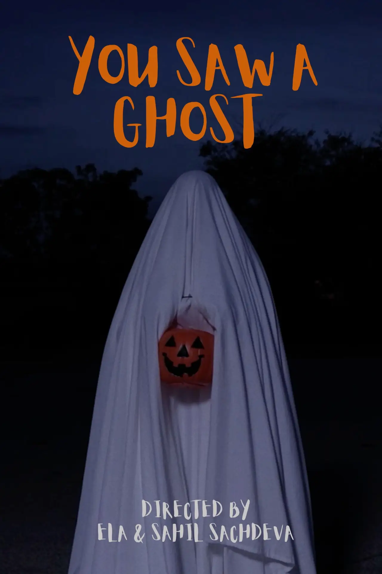 Постер к фильму "You Saw a Ghost"