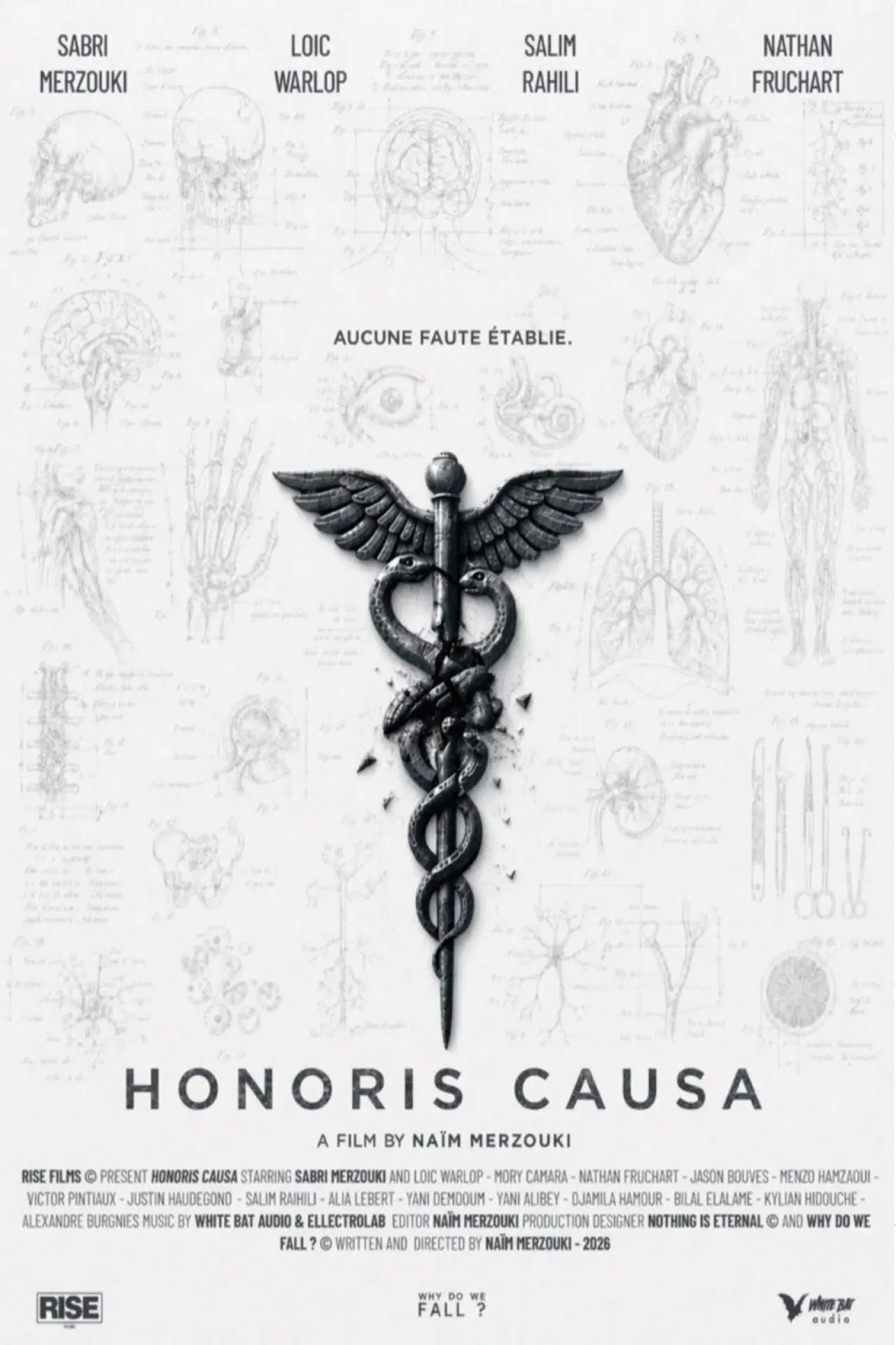 Постер к фильму "Honoris causa"