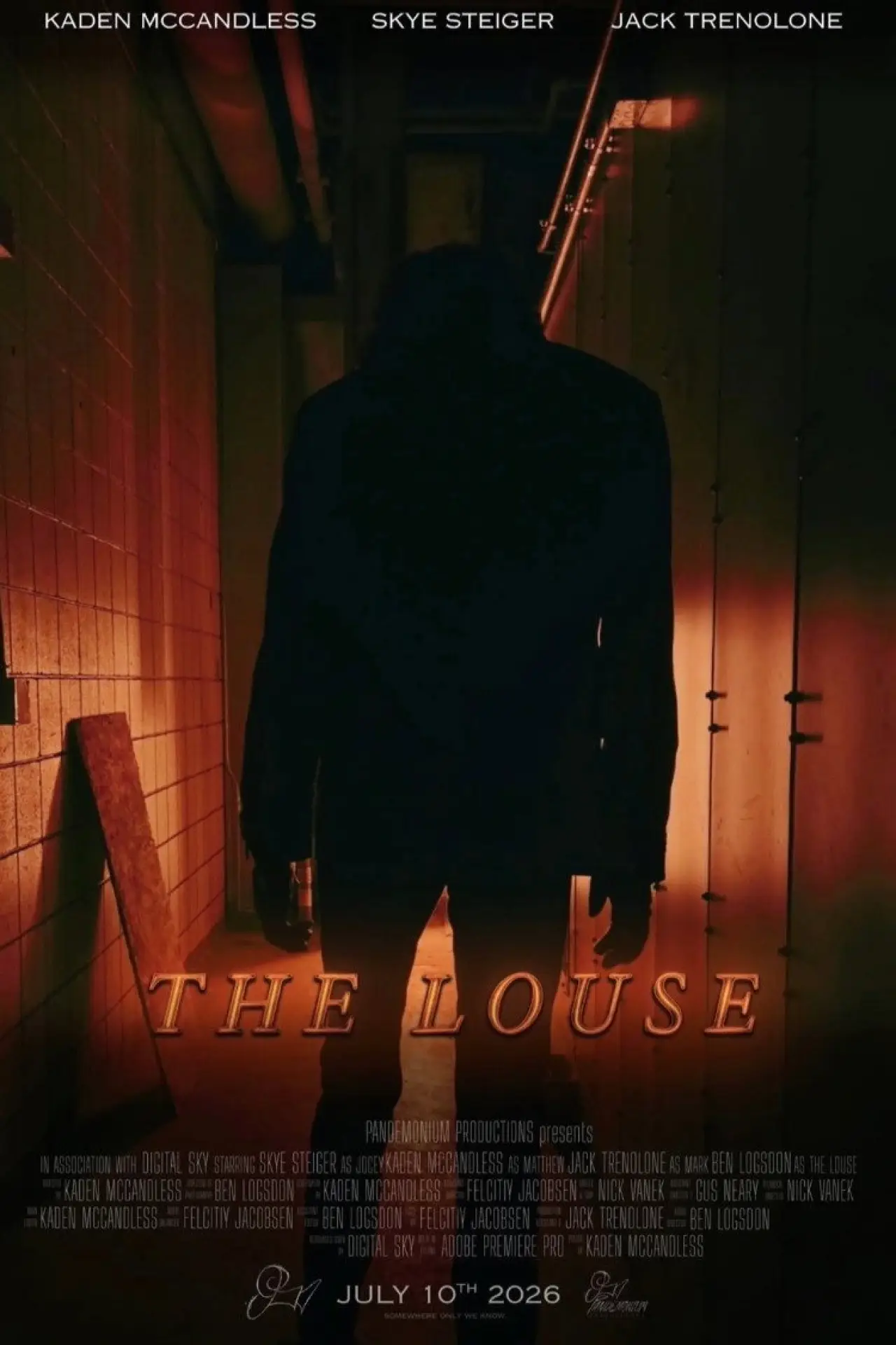 Постер к фильму "The Louse"