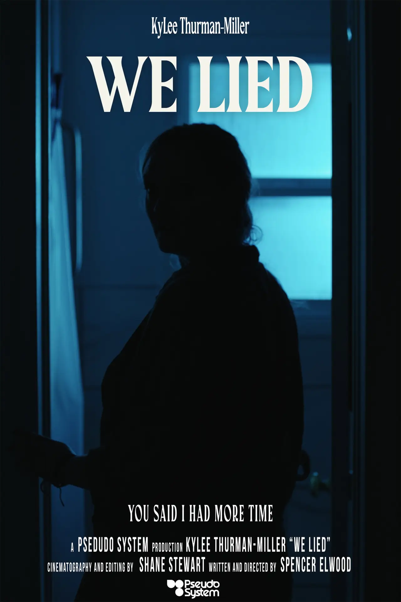 Постер к фильму "We Lied"