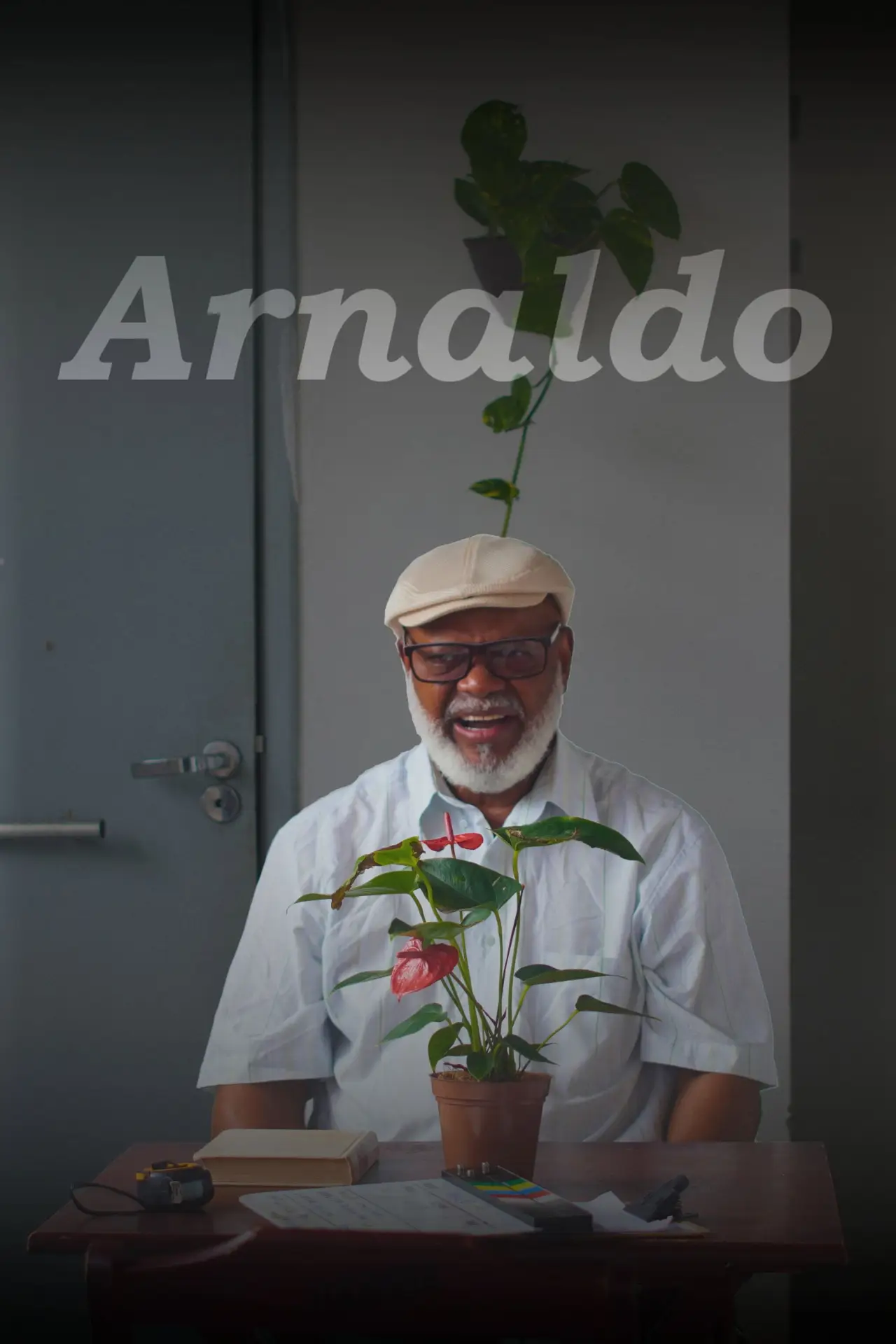Постер к фильму "Arnaldo"