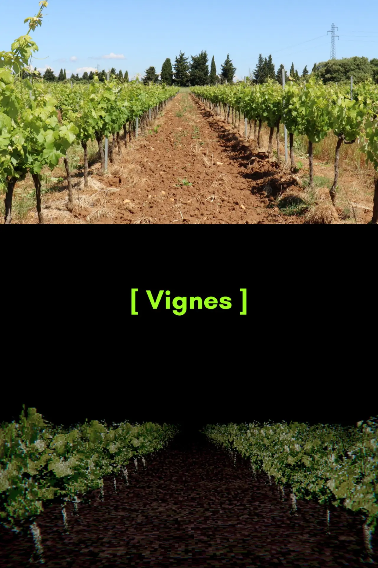 Постер к фильму "[ Vignes ]"