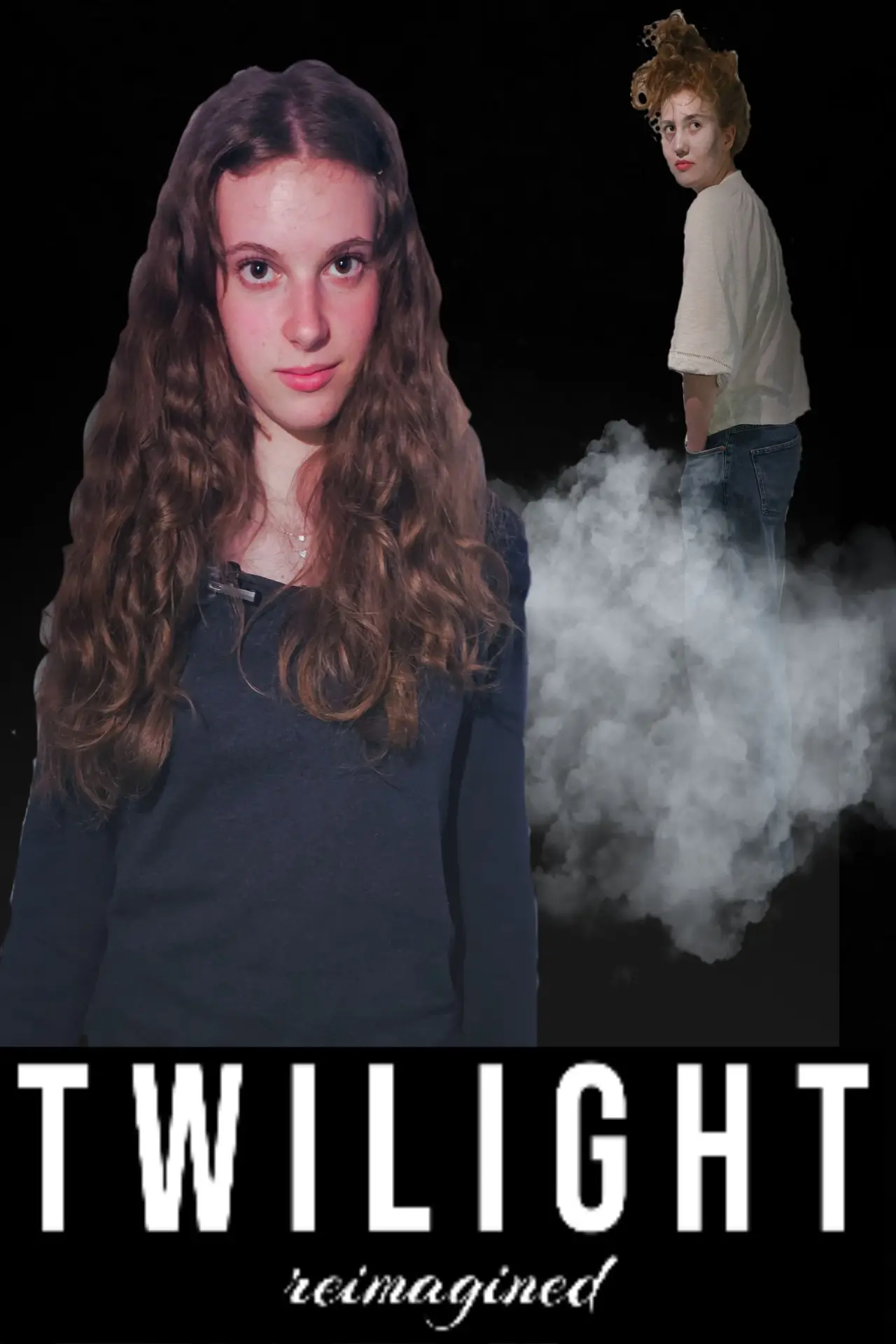 Постер к фильму "Twilight: reimagined"