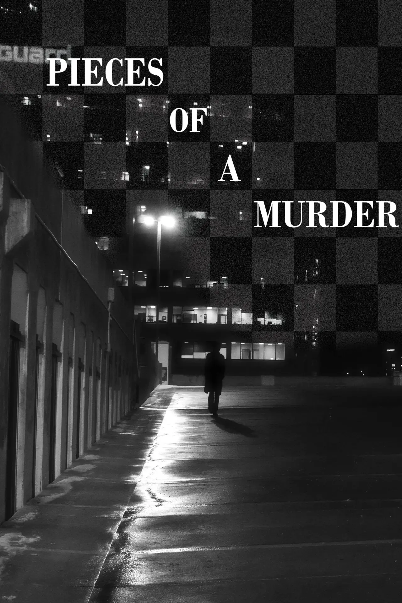 Постер к фильму "Pieces of a Murder"