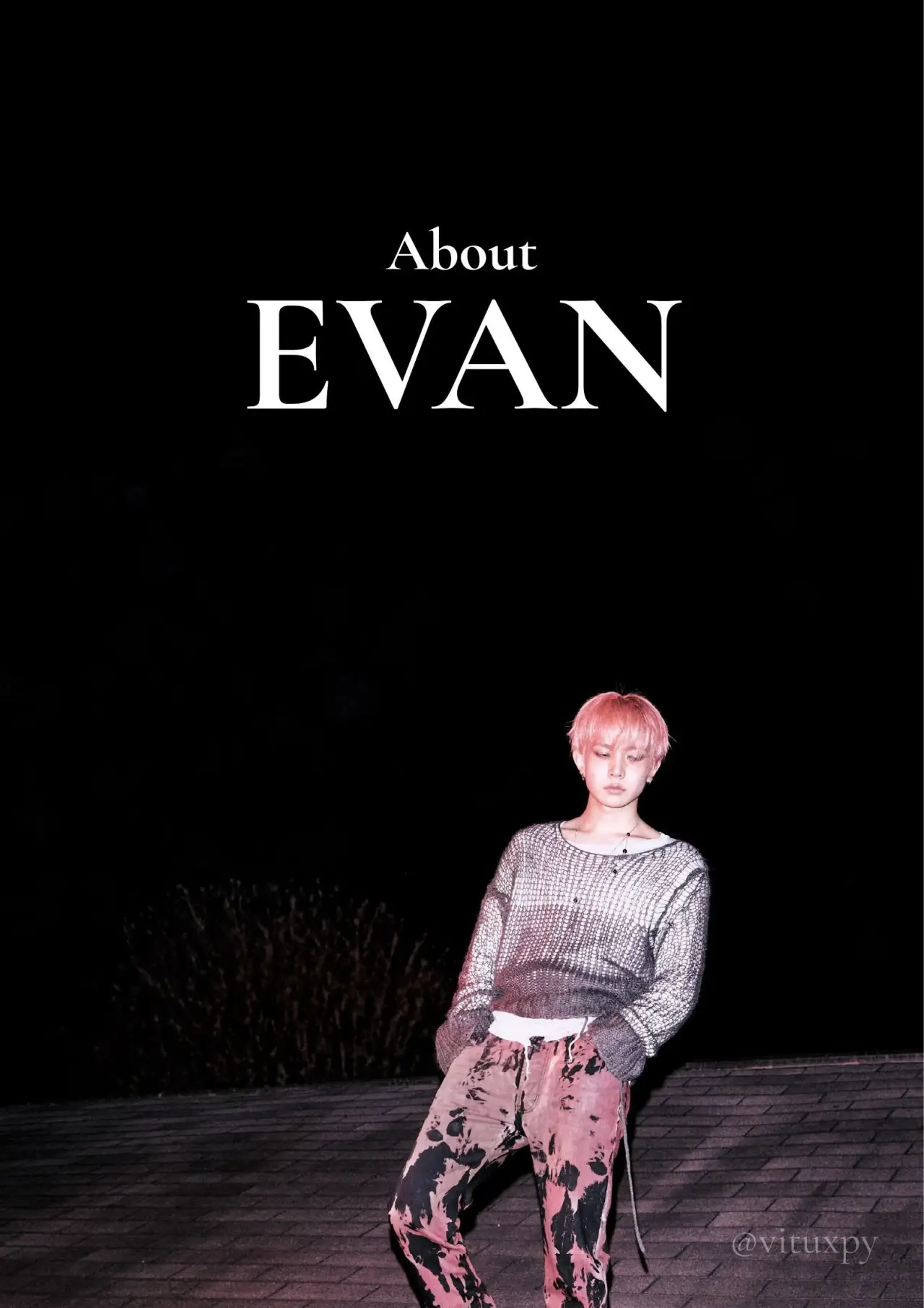 Постер к фильму "About EVAN"
