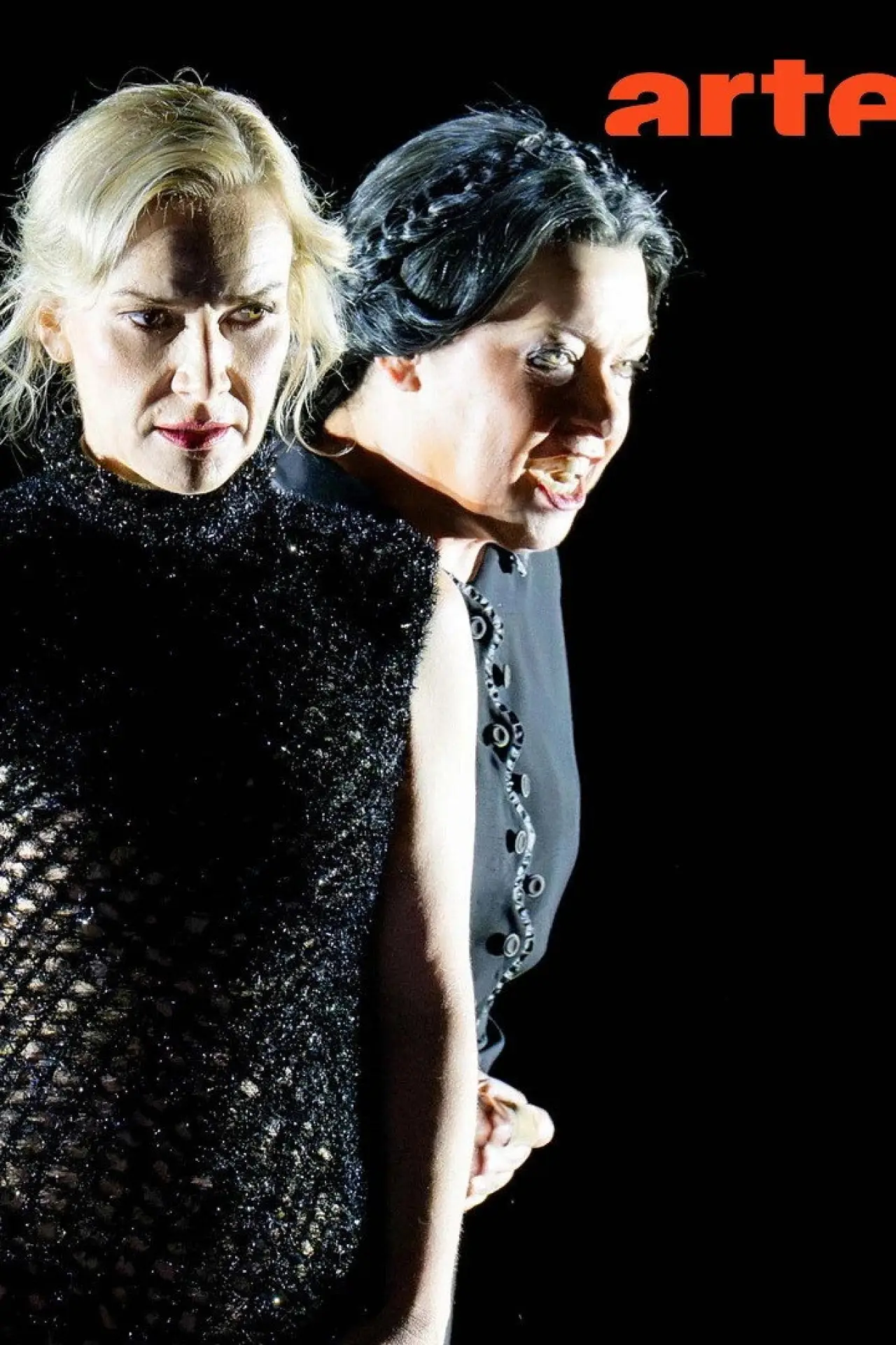 Постер к фильму "Richard Strauss : La femme sans ombre Festival d’Aix-en-Provence 2026"