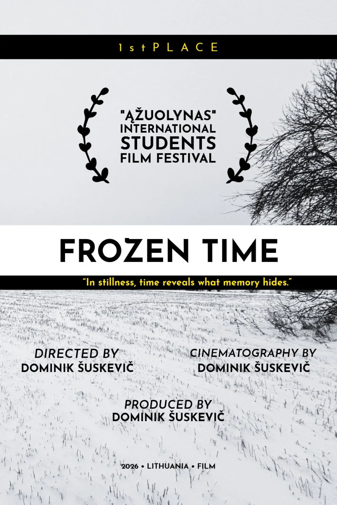 Постер к фильму "Frozen Time: Что, если?.."