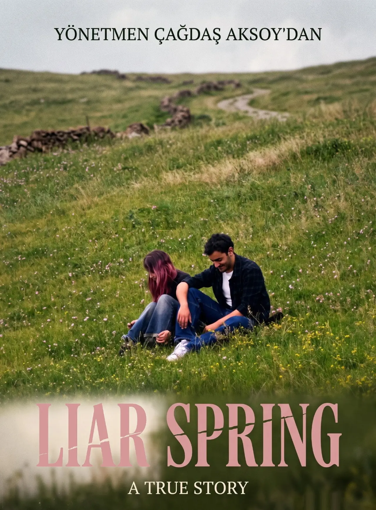 Постер к фильму "Liar Spring"