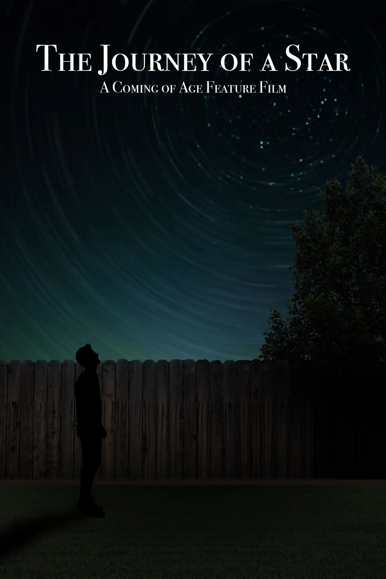 Постер к фильму "The Journey of a Star"