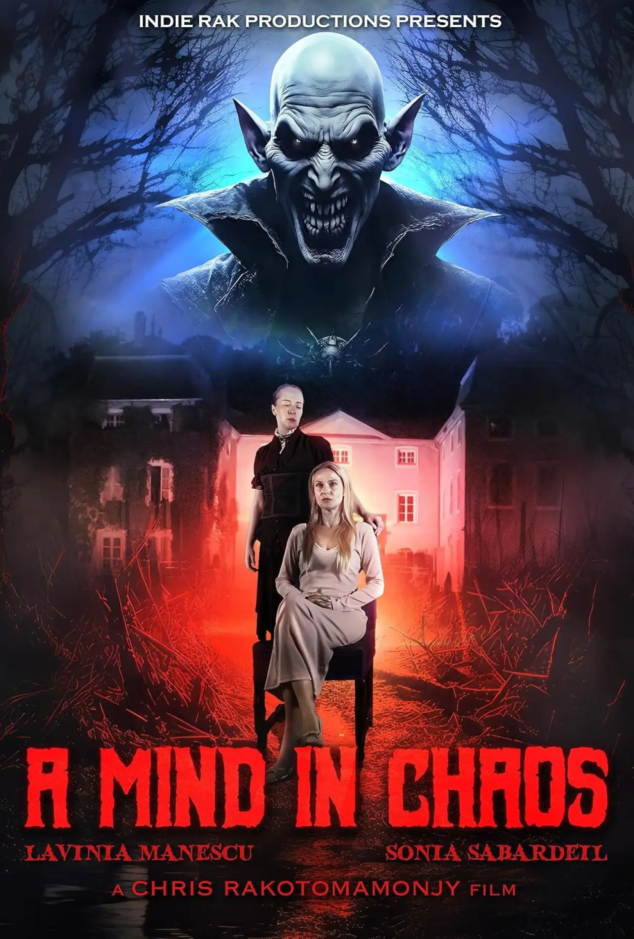 Постер к фильму "A Mind in Chaos"