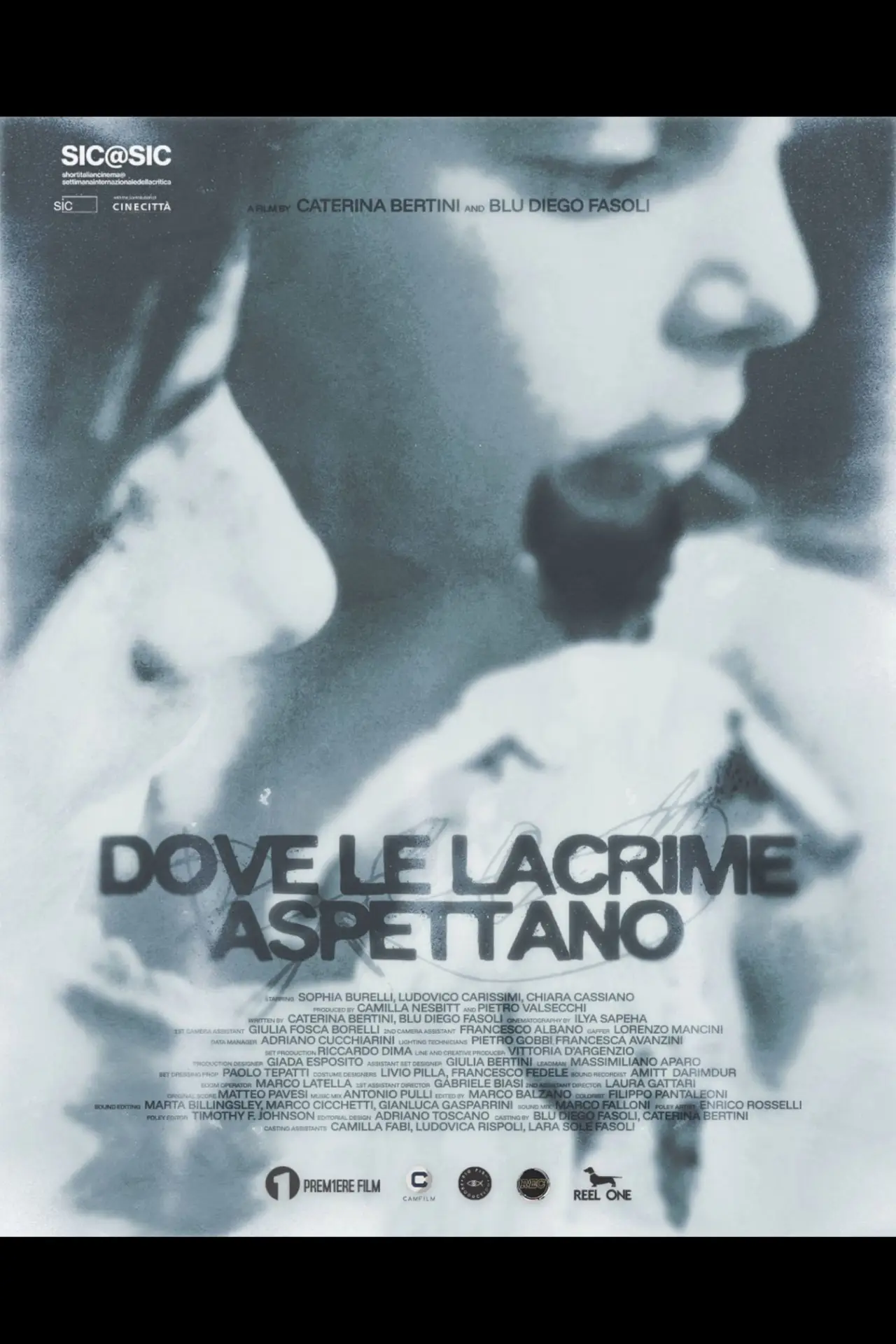 Постер к фильму "Dove le lacrime aspettano"