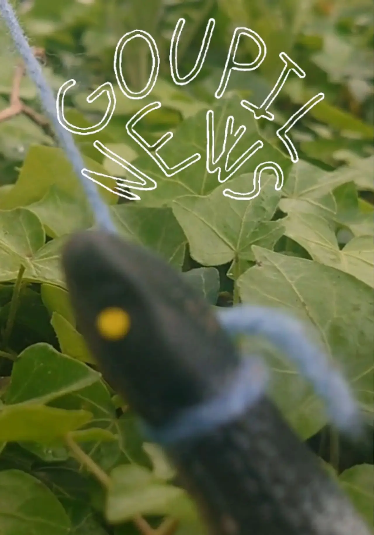 Постер к фильму "Goupil News"