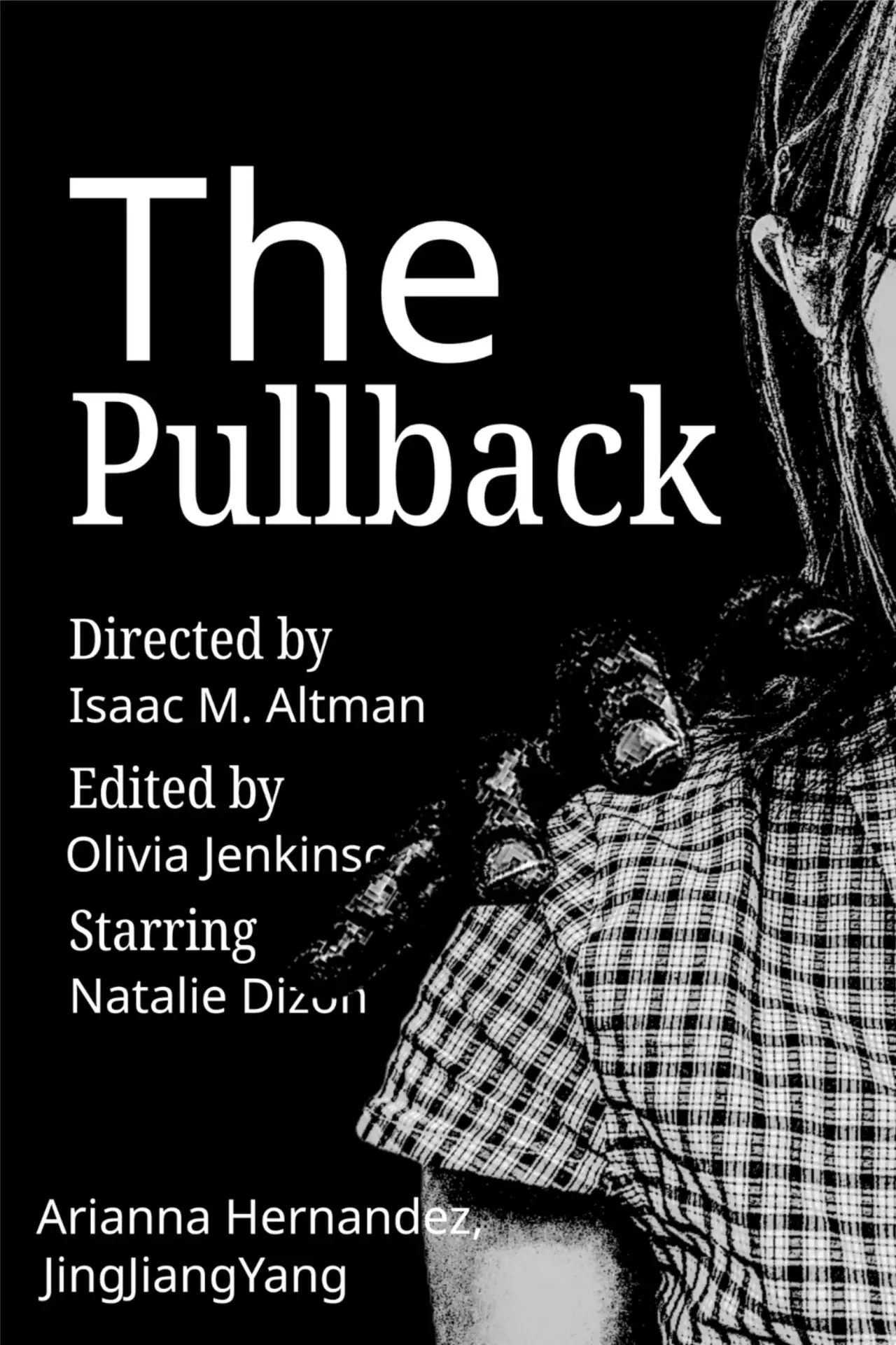 Постер к фильму "The Pullback"