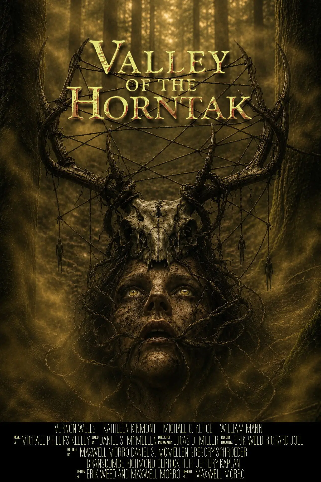 Постер к фильму "Valley of the Horntak"