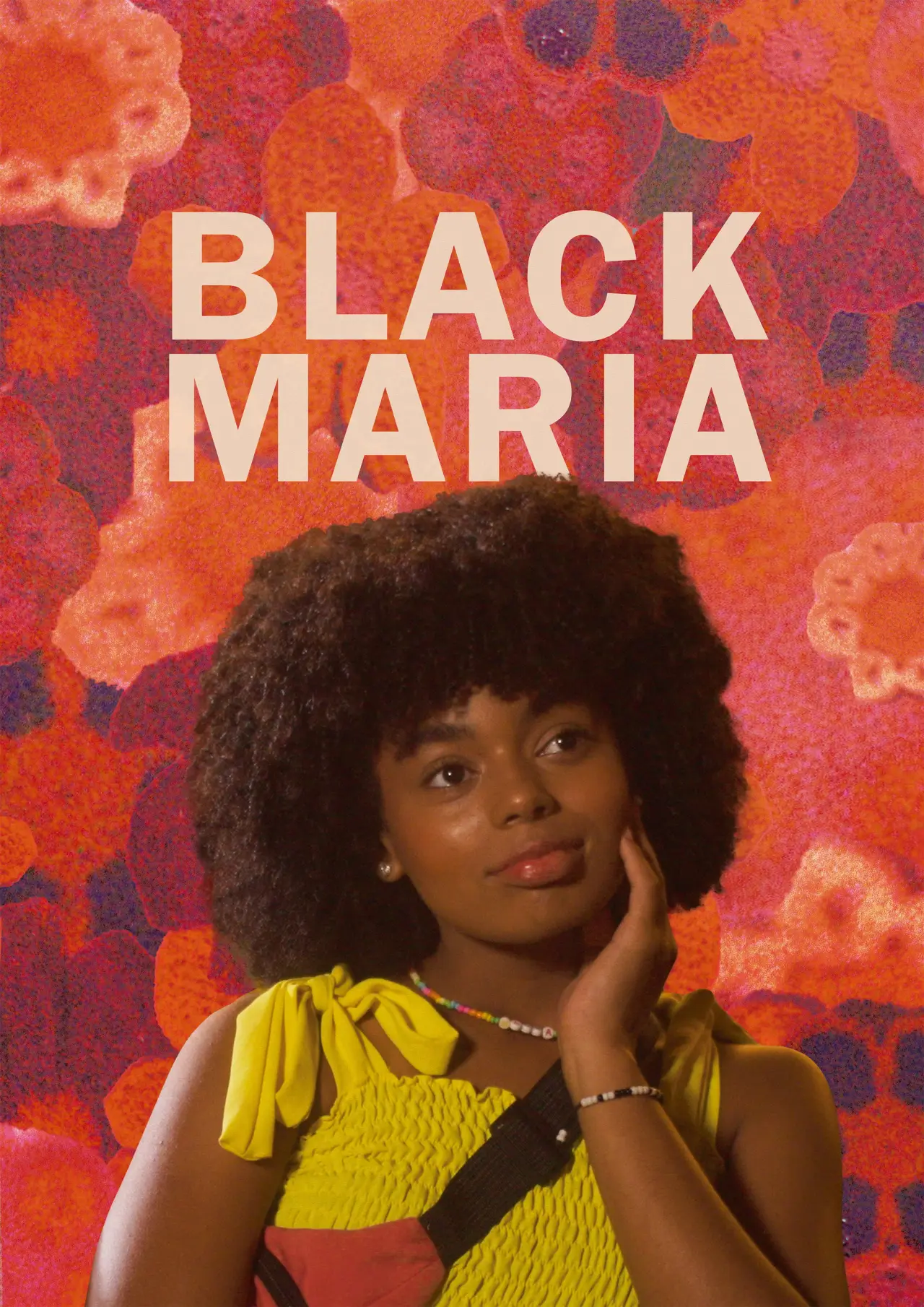 Постер к фильму "Black Maria"