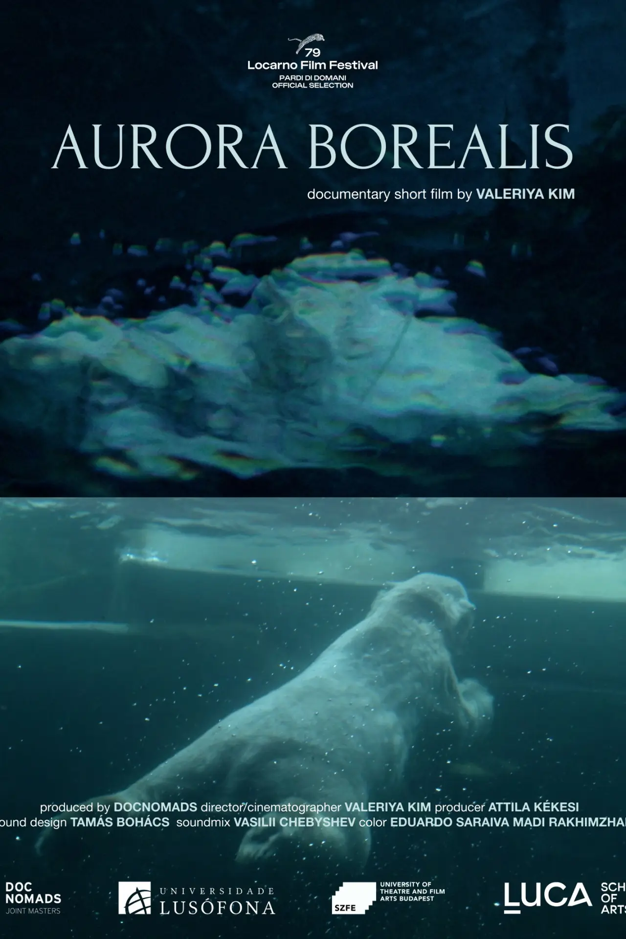 Постер к фильму "Aurora Borealis"