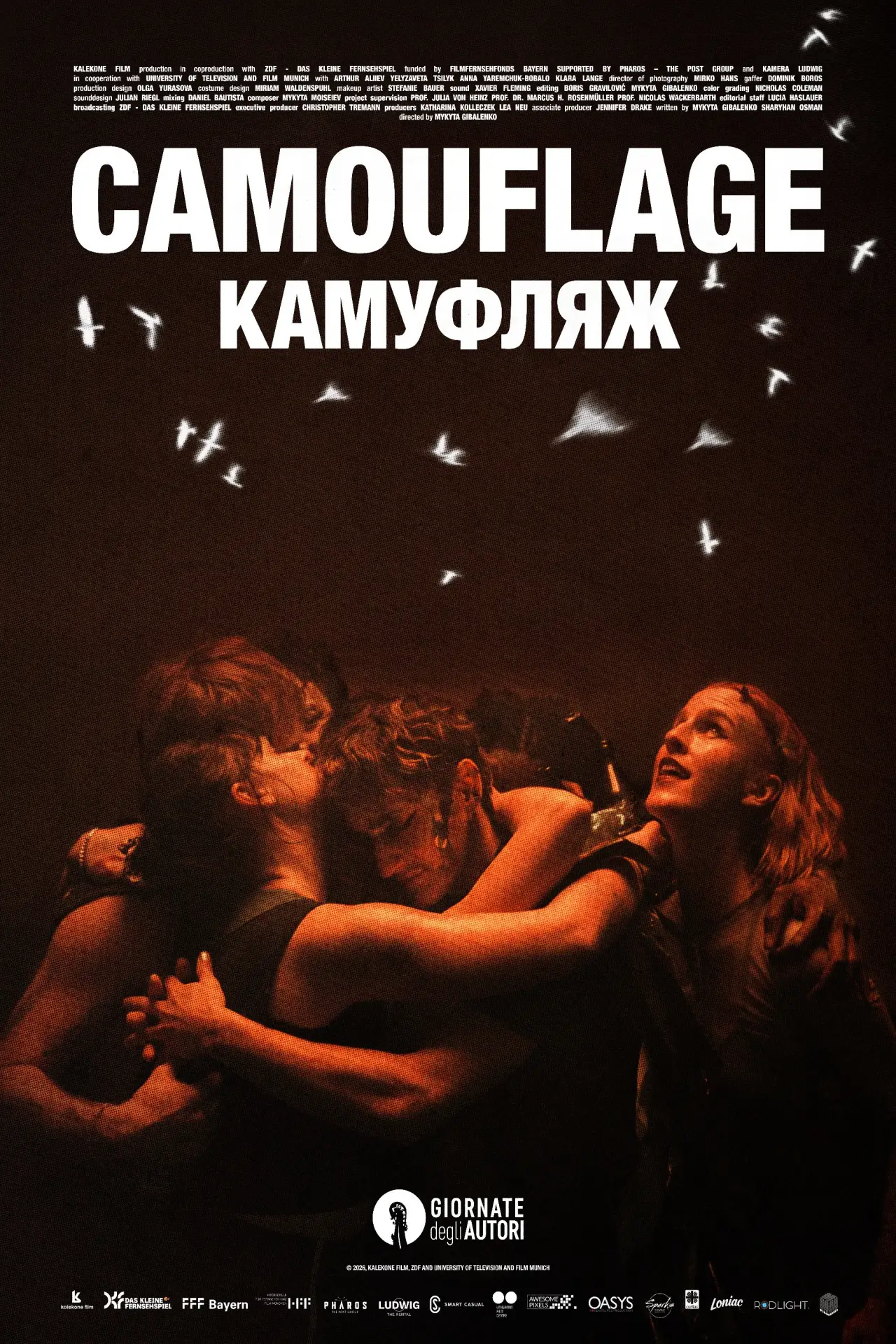 Постер к фильму "Camouflage"