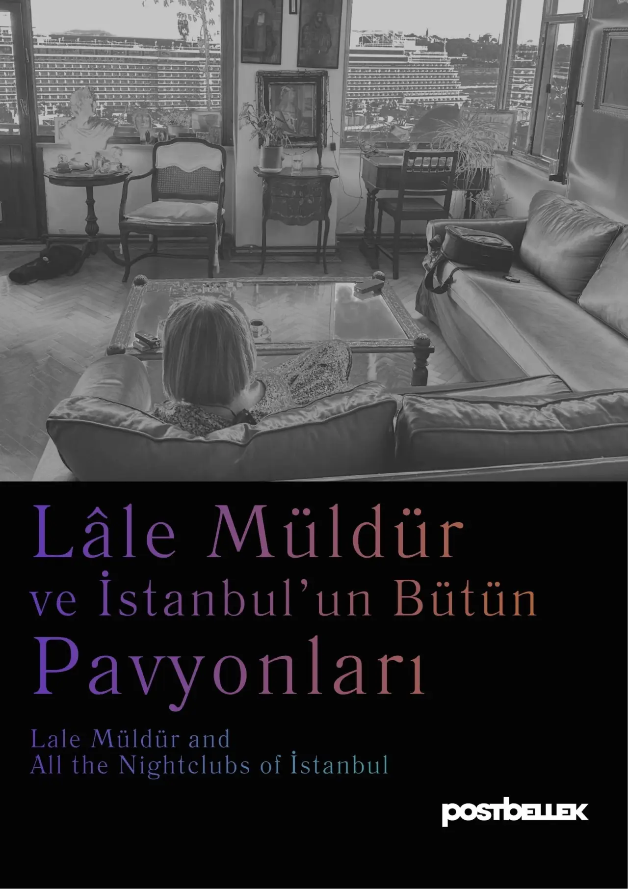 Постер к фильму "Lâle Müldür ve İstanbul