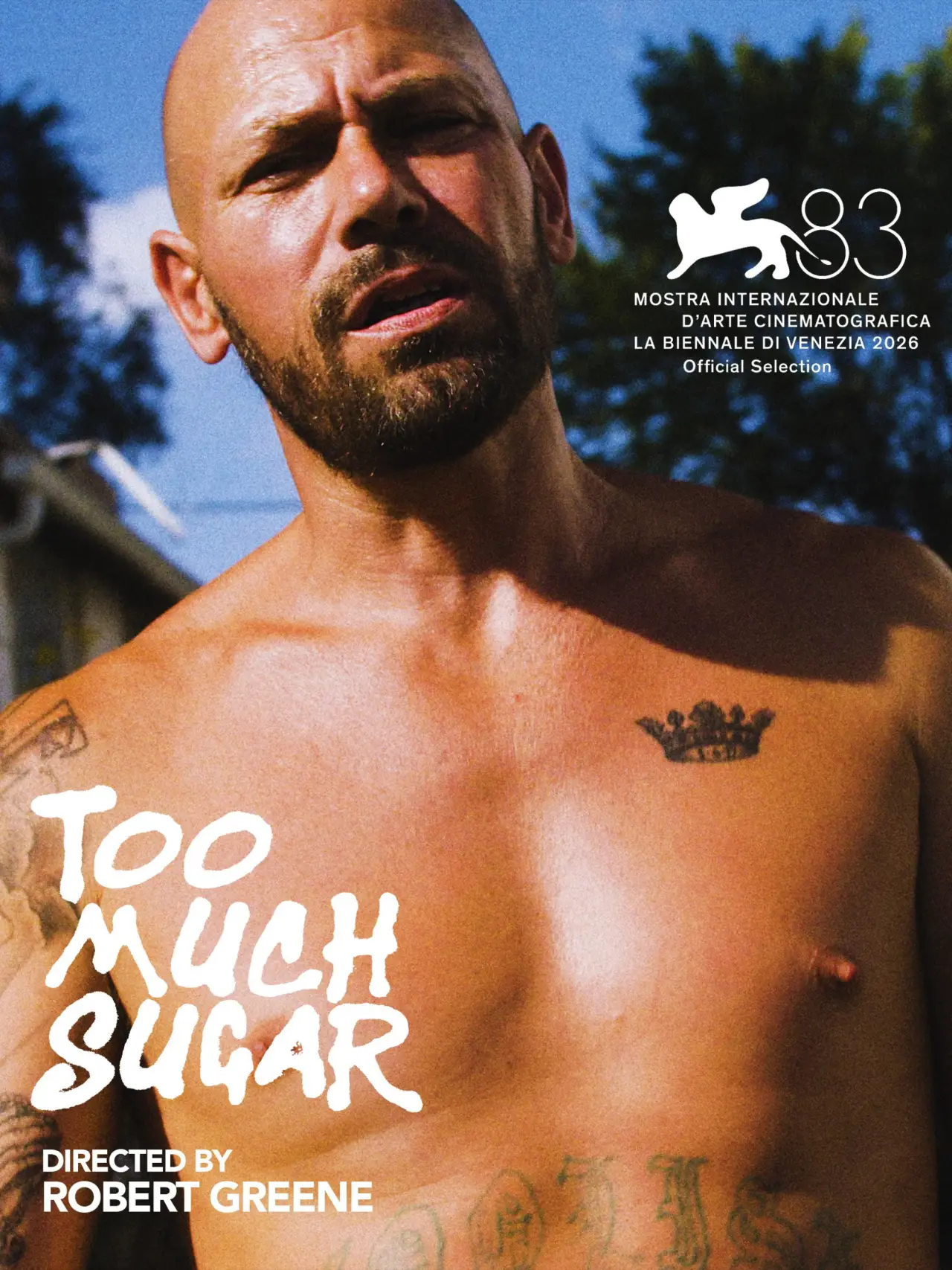 Постер к фильму "Too Much Sugar"