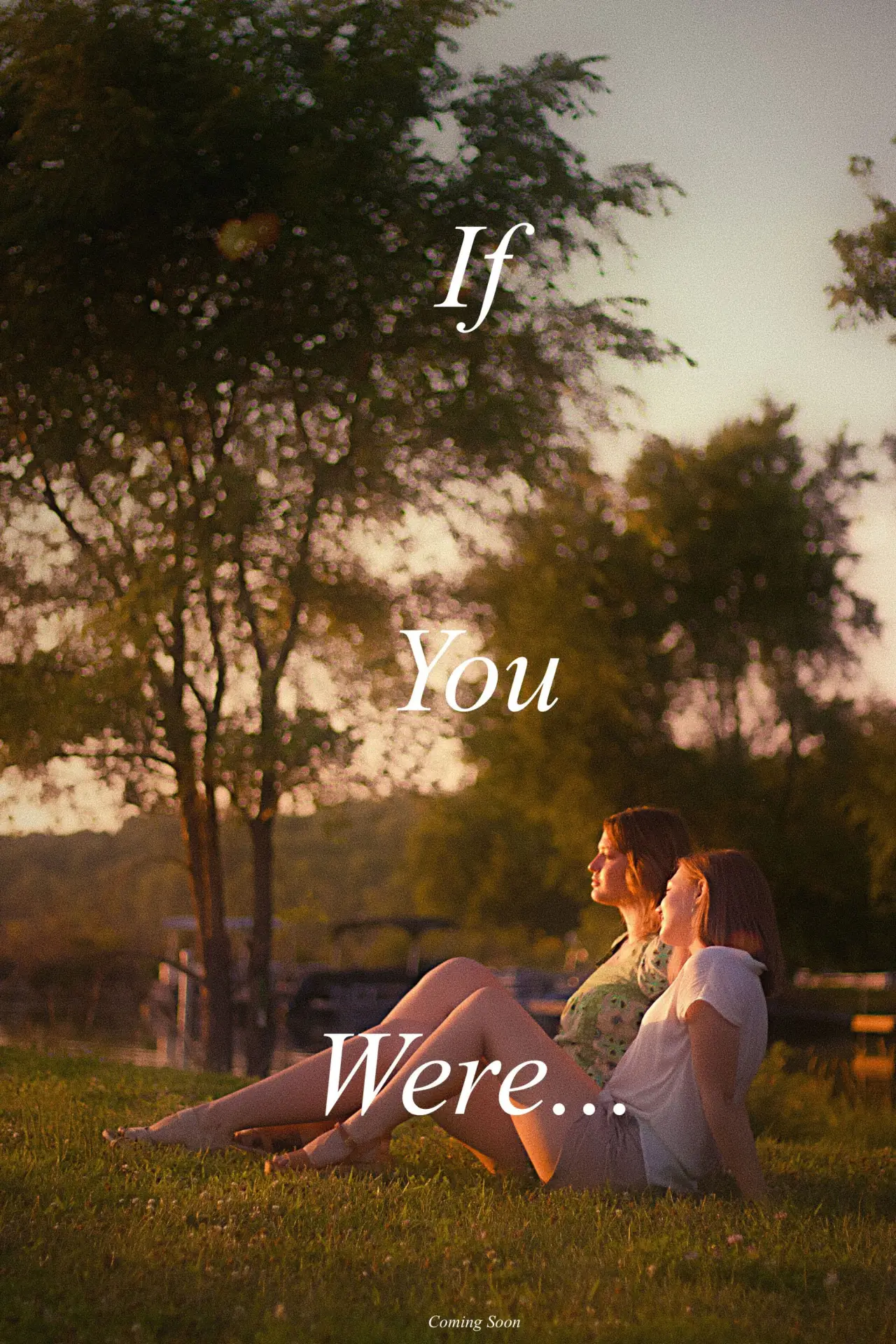 Постер к фильму "If You Were…"