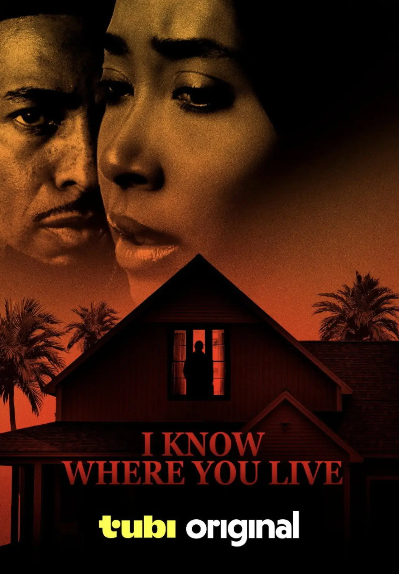 Постер к фильму "I Know Where You Live"