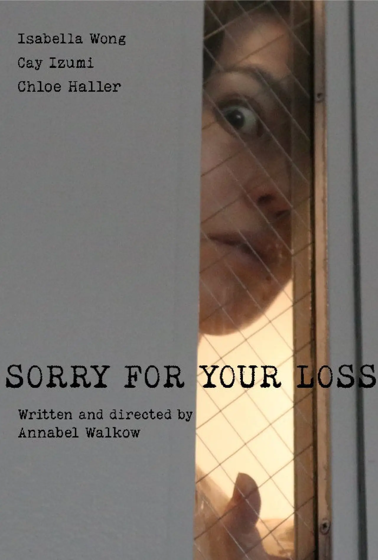 Постер к фильму "Sorry for Your Loss"