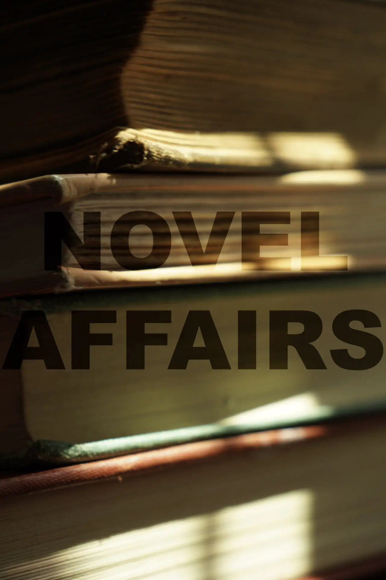 Постер к фильму "Novel Affairs"