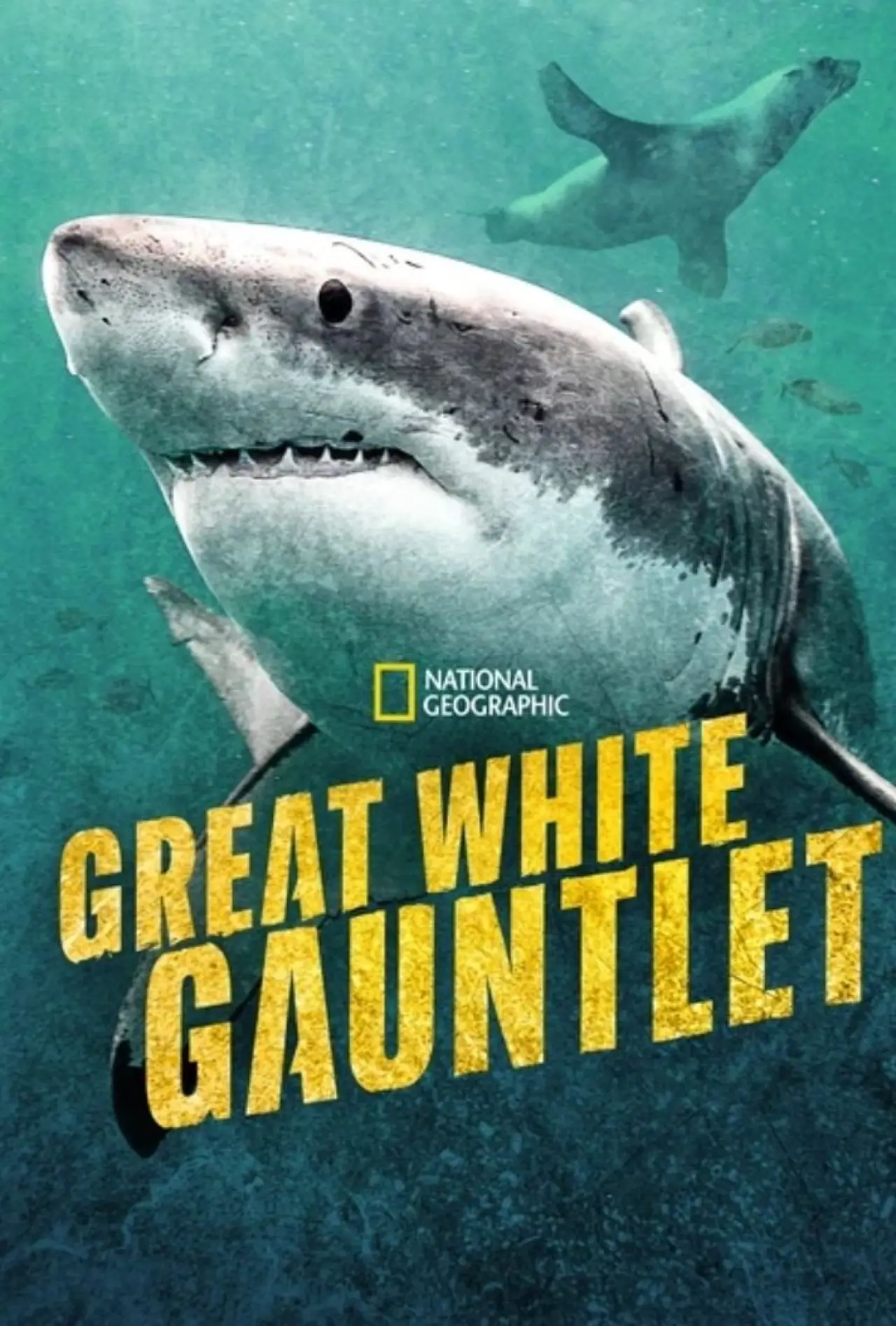 Постер к фильму "Great White Gauntlet"
