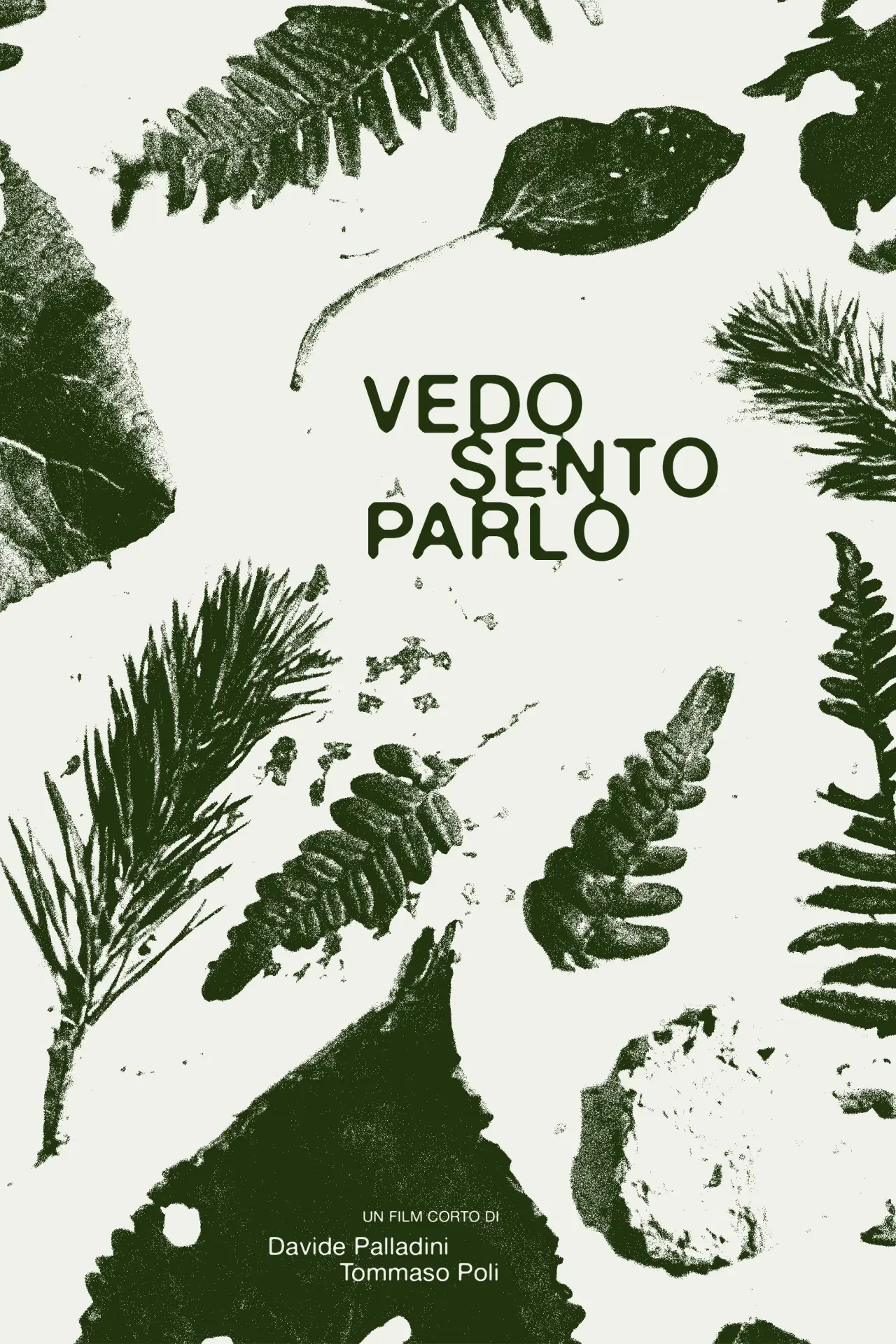 Постер к фильму "Vedo Sento Parlo"
