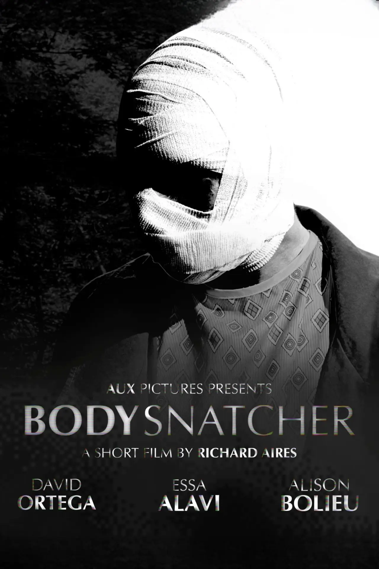 Постер к фильму "Bodysnatcher"