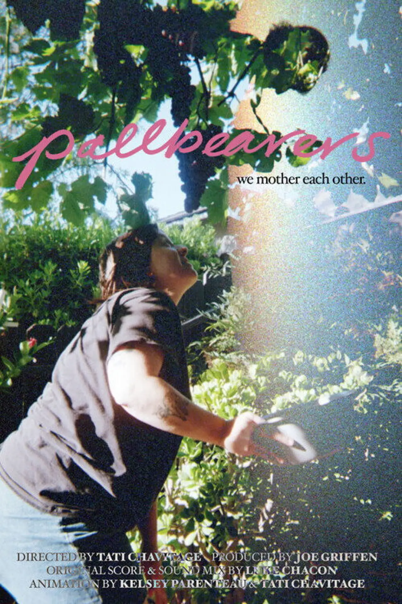 Постер к фильму "Pallbearers"