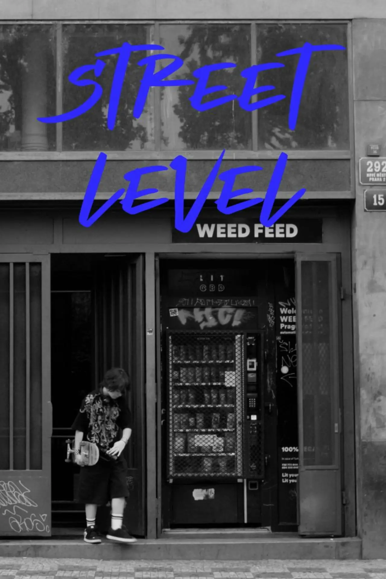 Постер к фильму "Street Level"