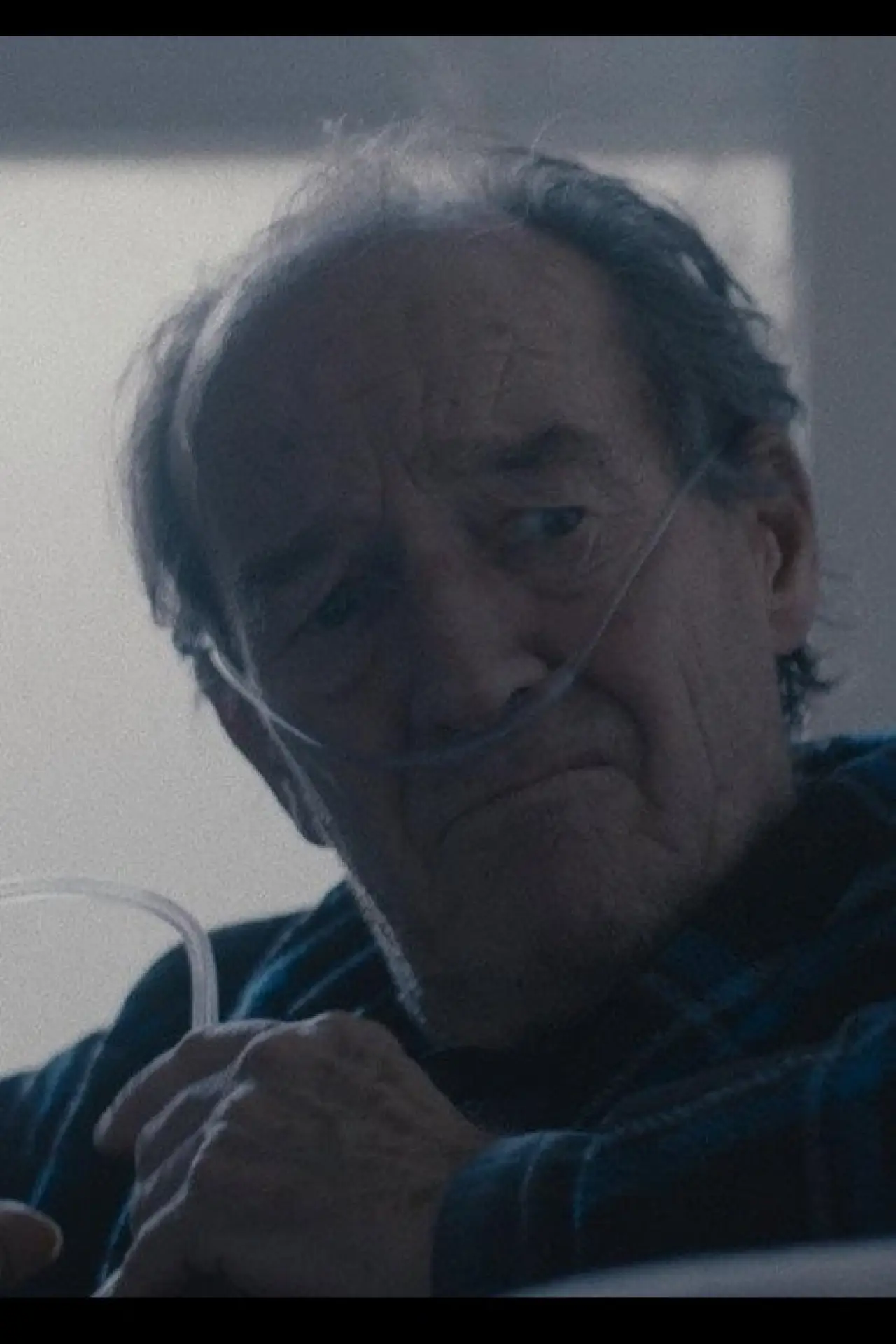 Постер к фильму "Robert"